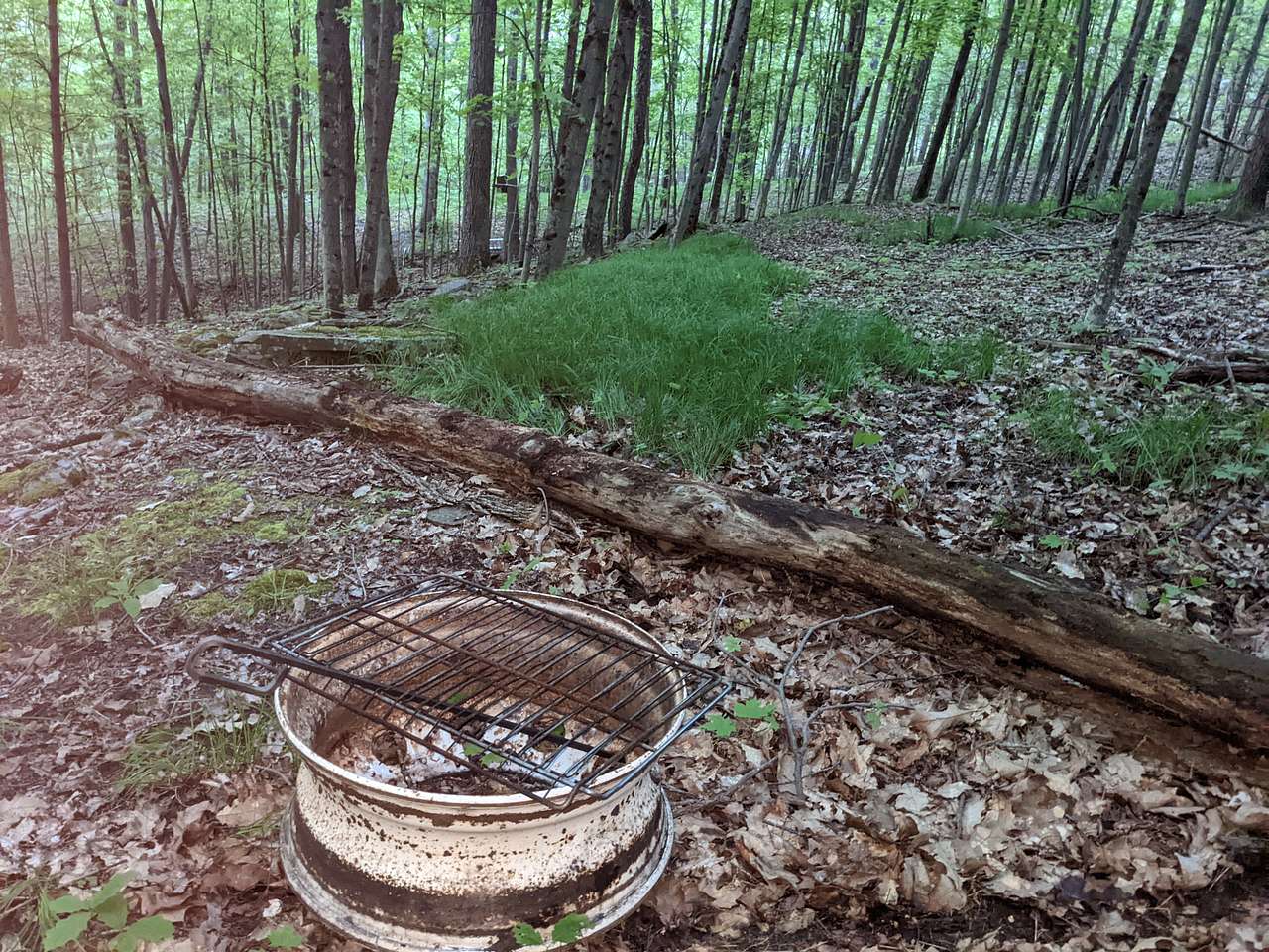 Picture of the site