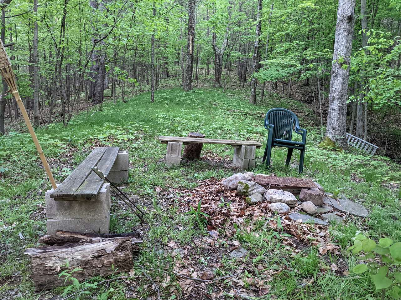 Picture of the site