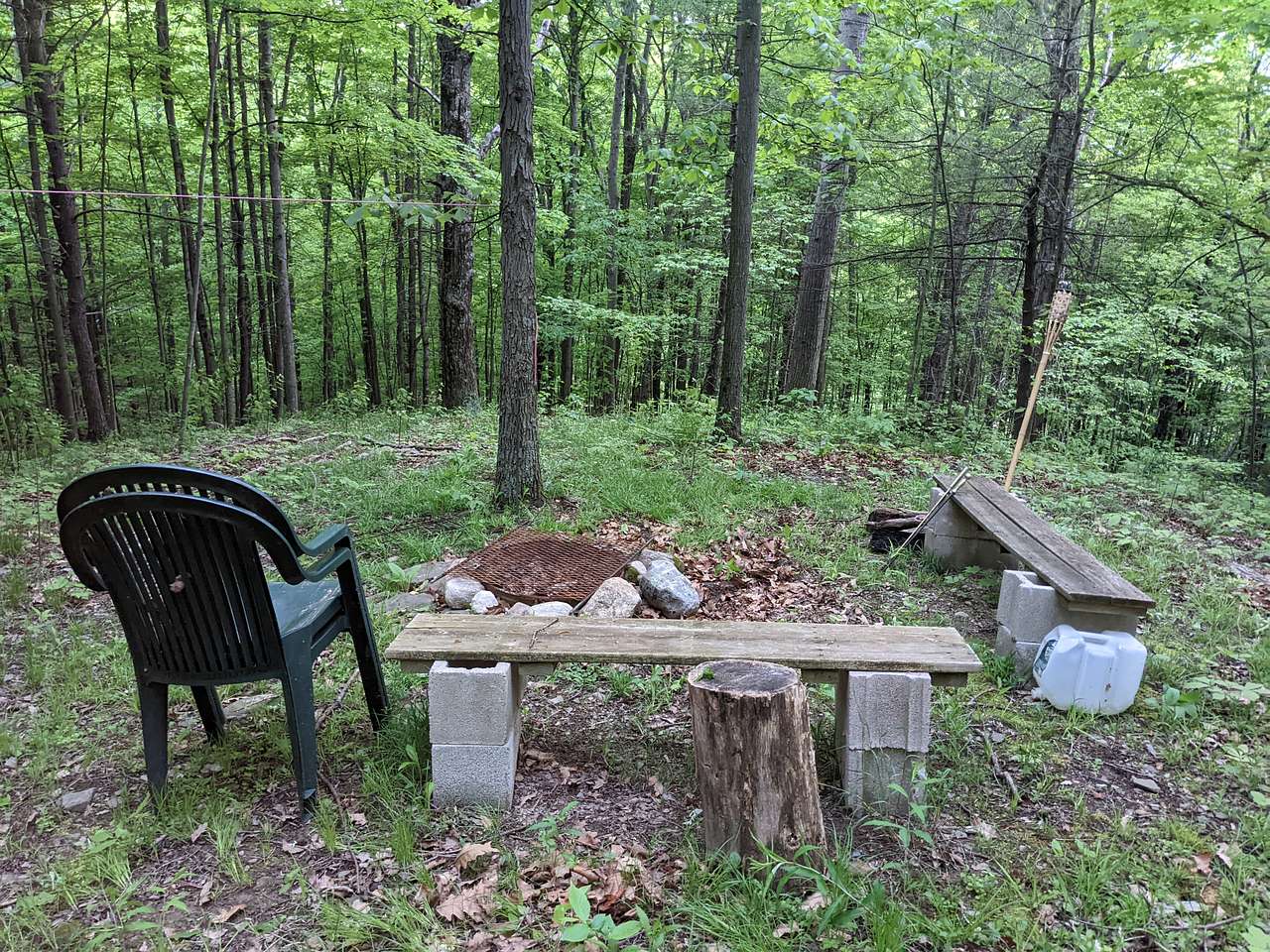 Picture of the site