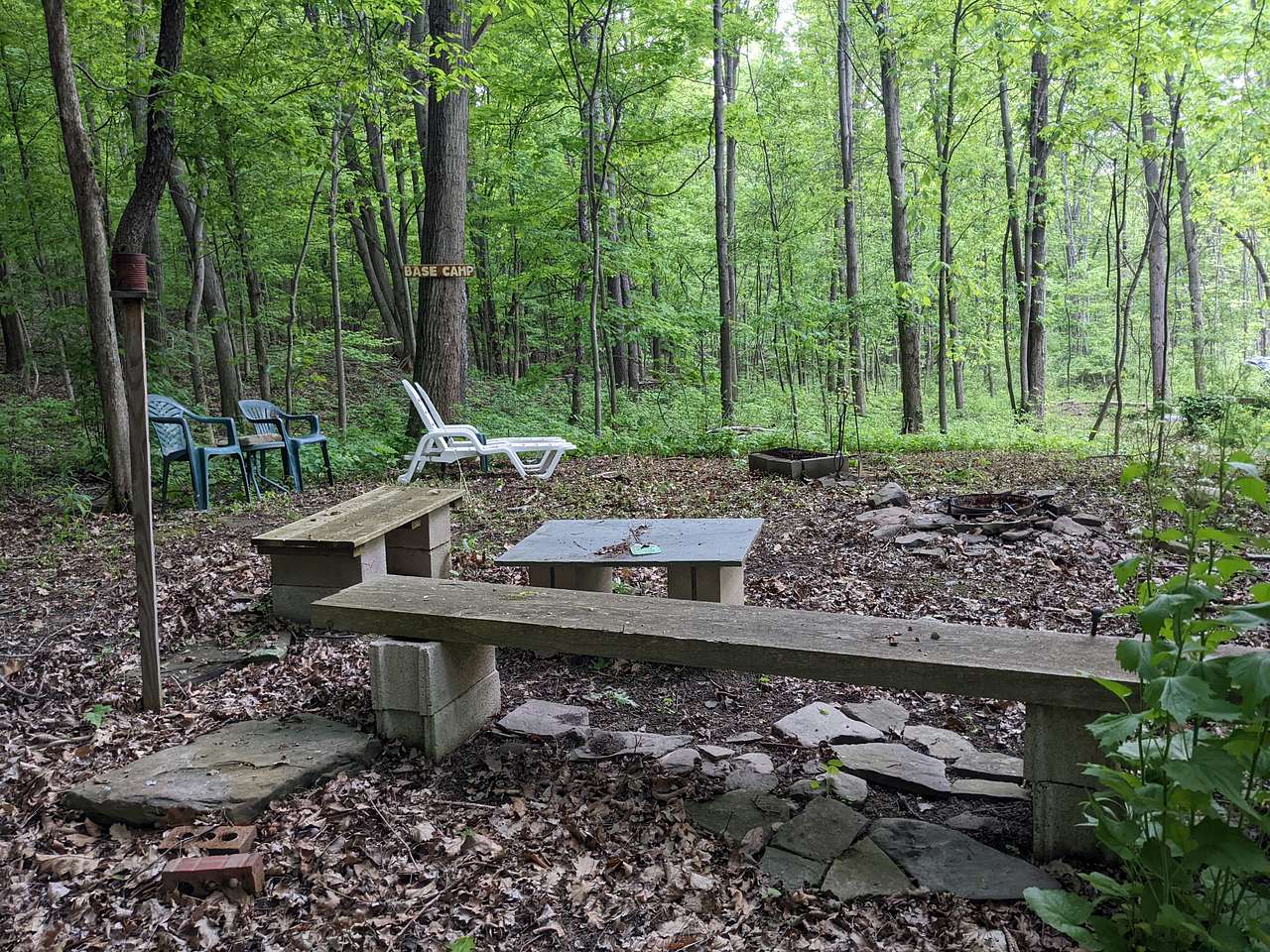 Picture of the site