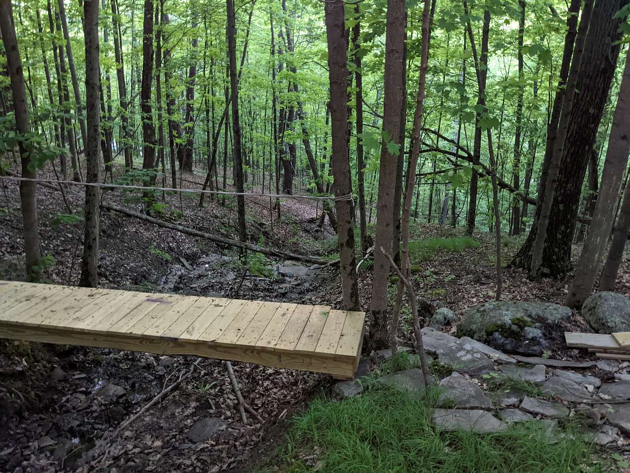 Picture of the site