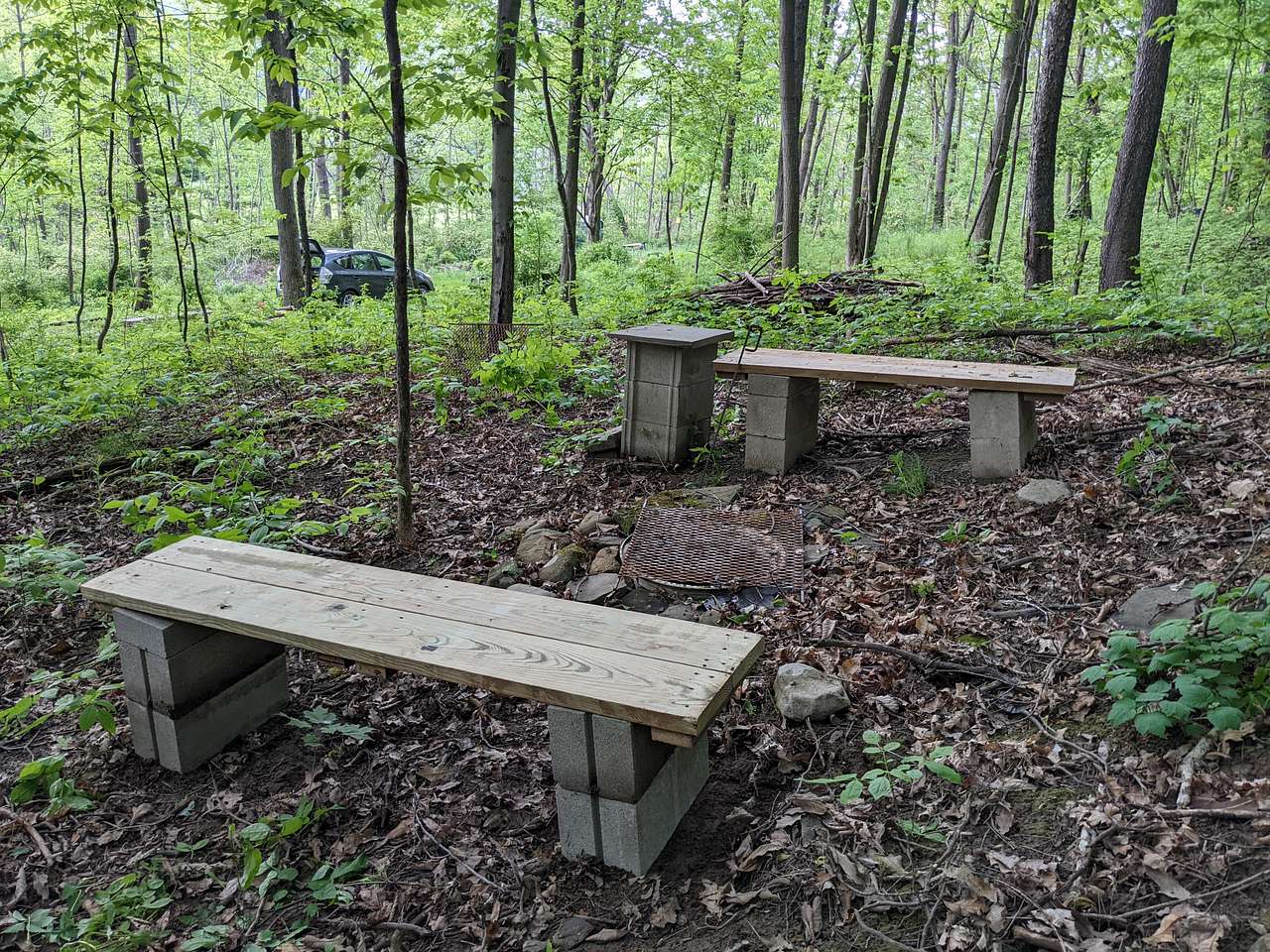Picture of the site