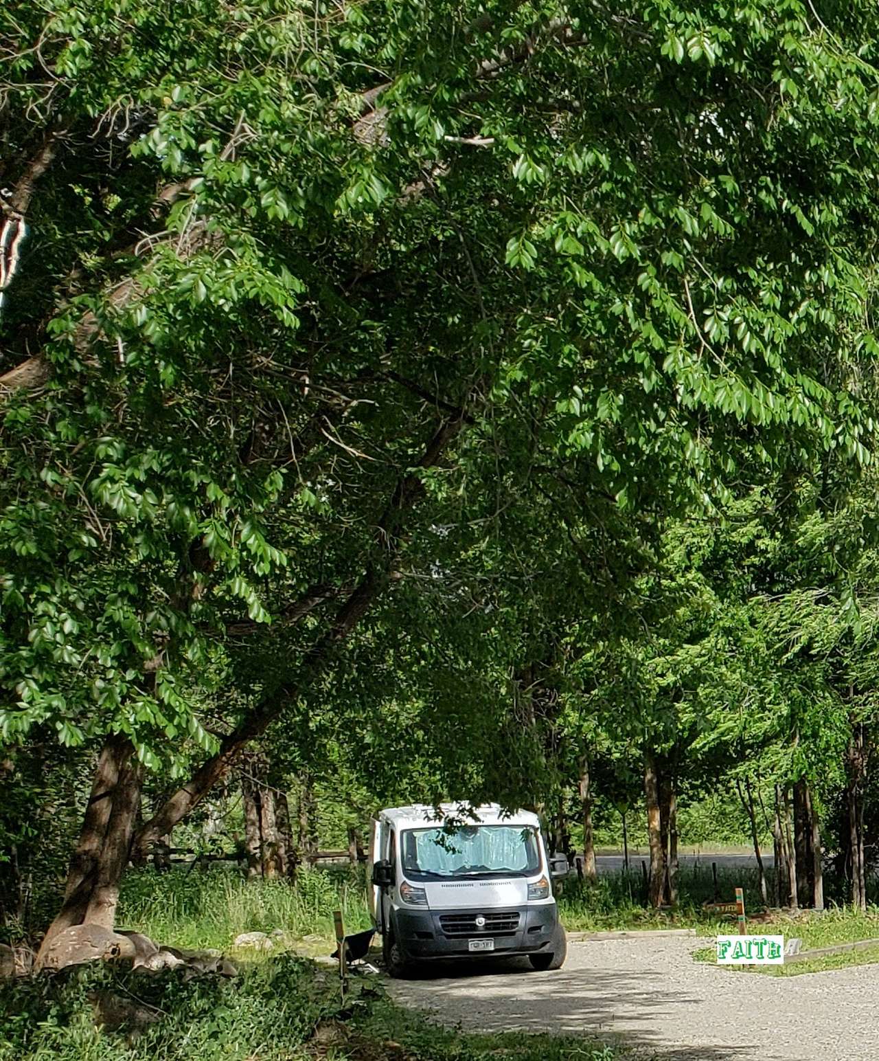 Picture of the site