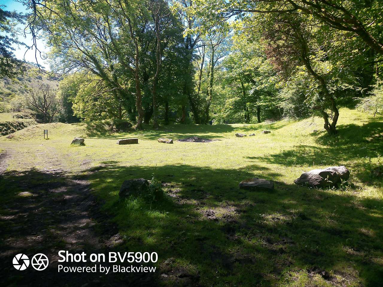 Picture of the site