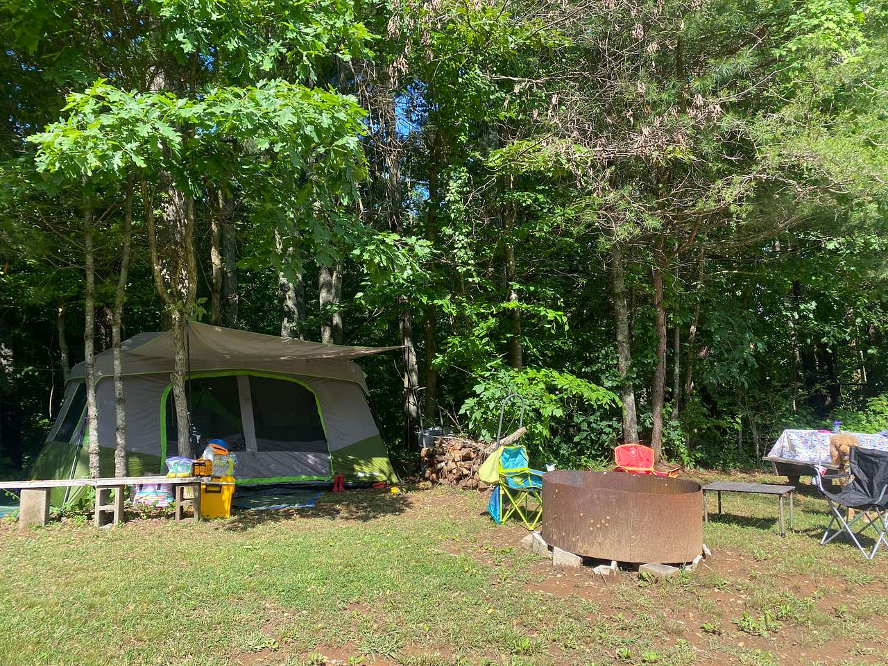 Picture of the site