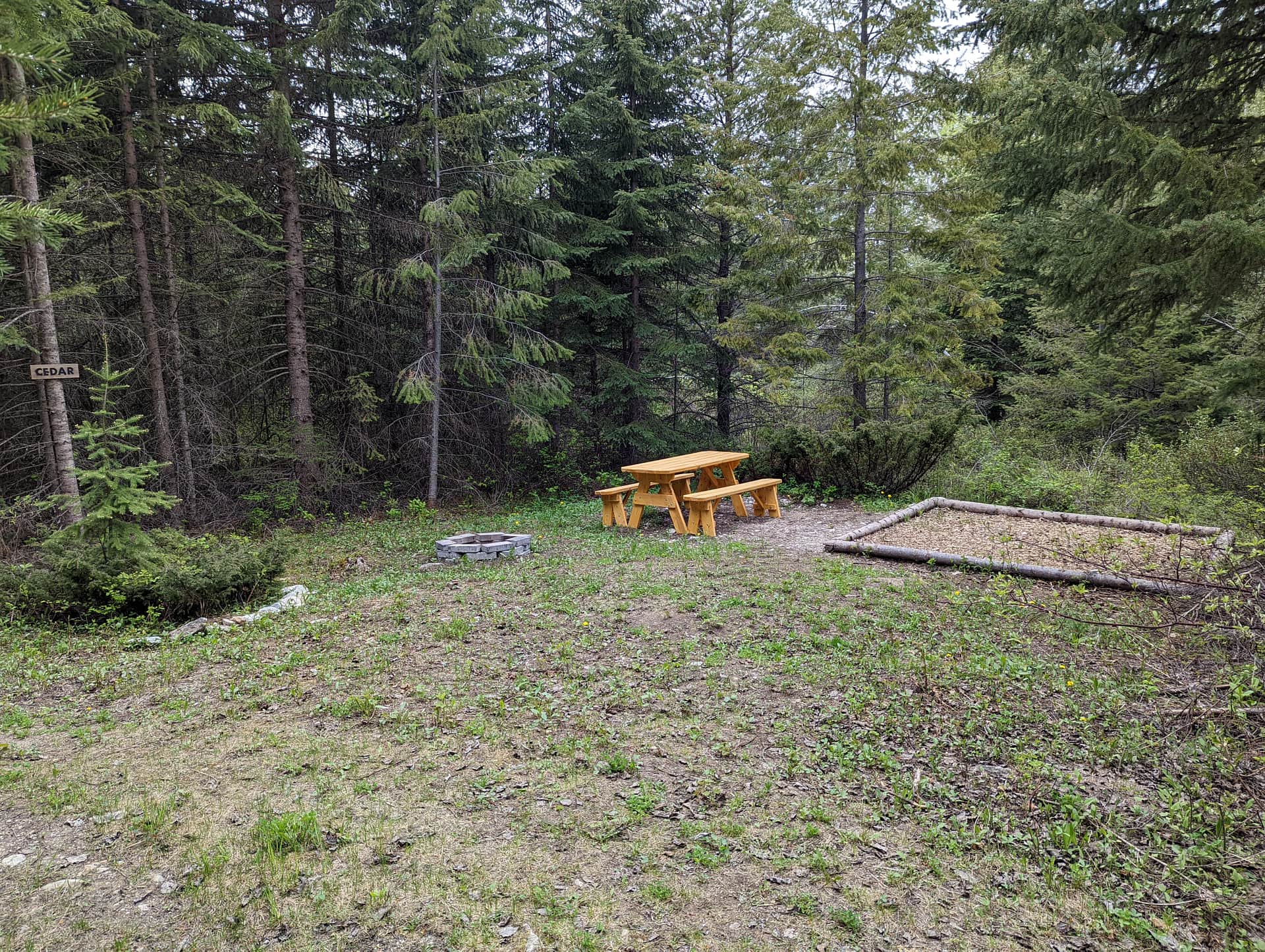 Picture of the site