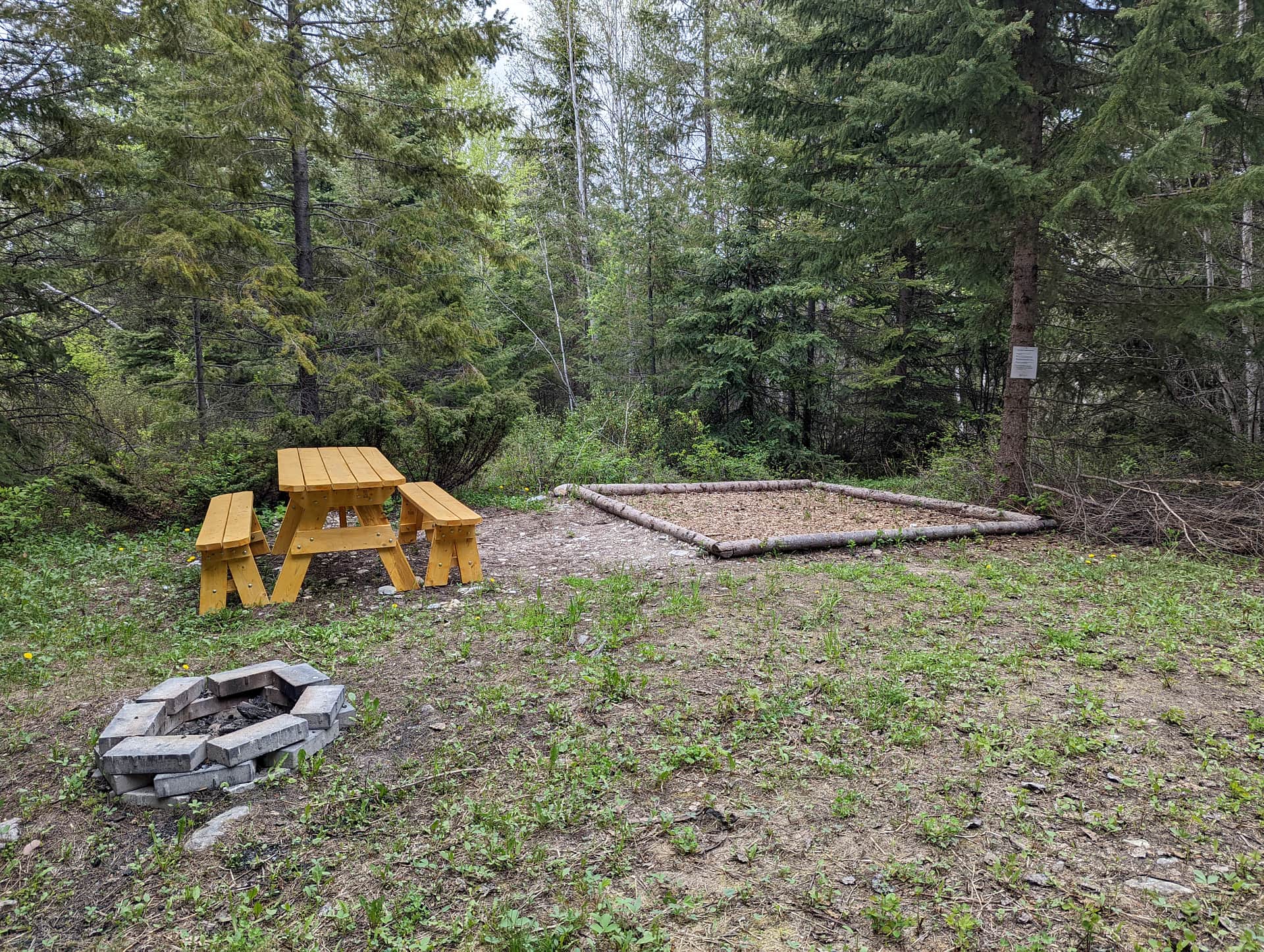 Picture of the site