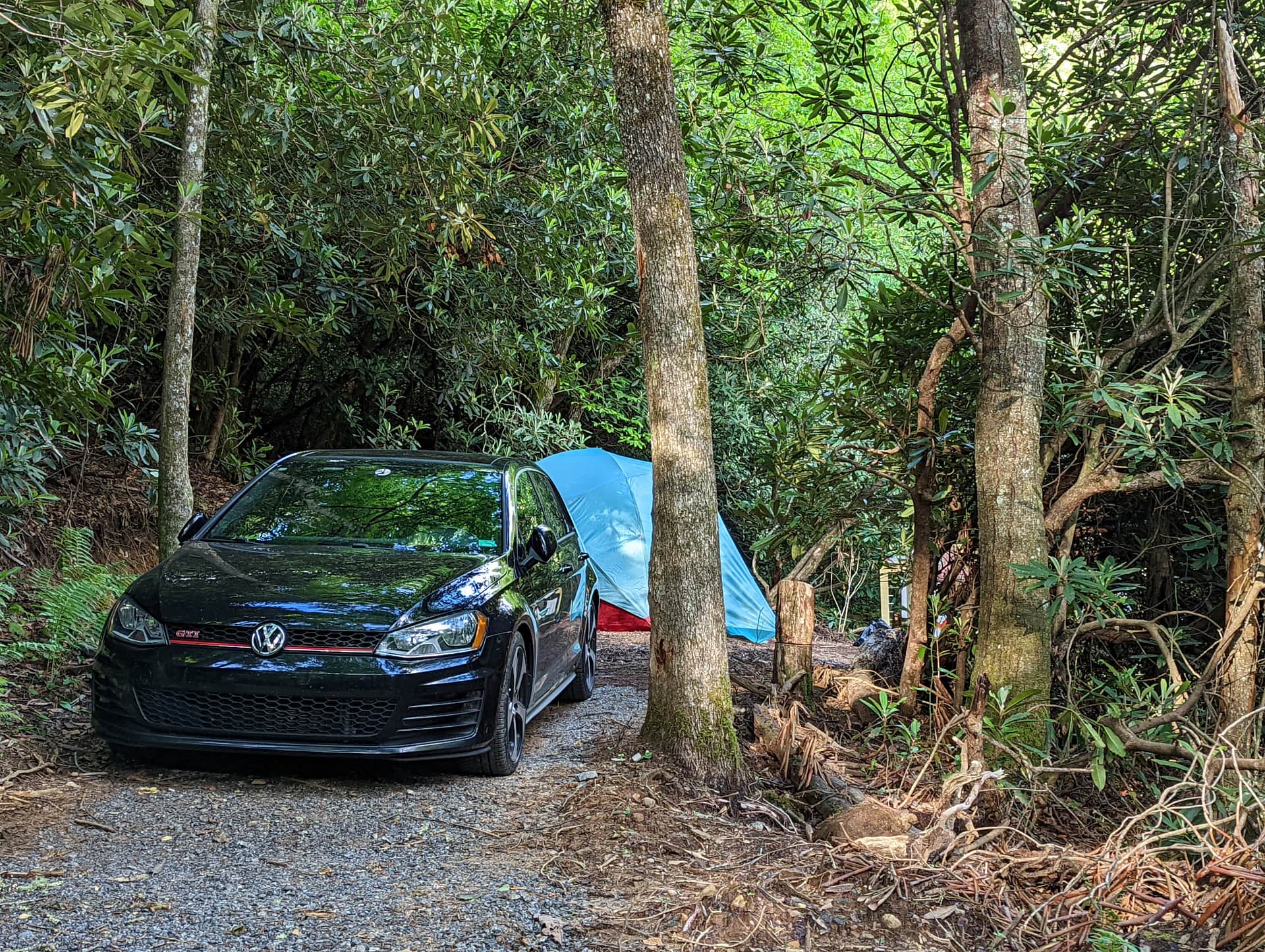 Picture of the site