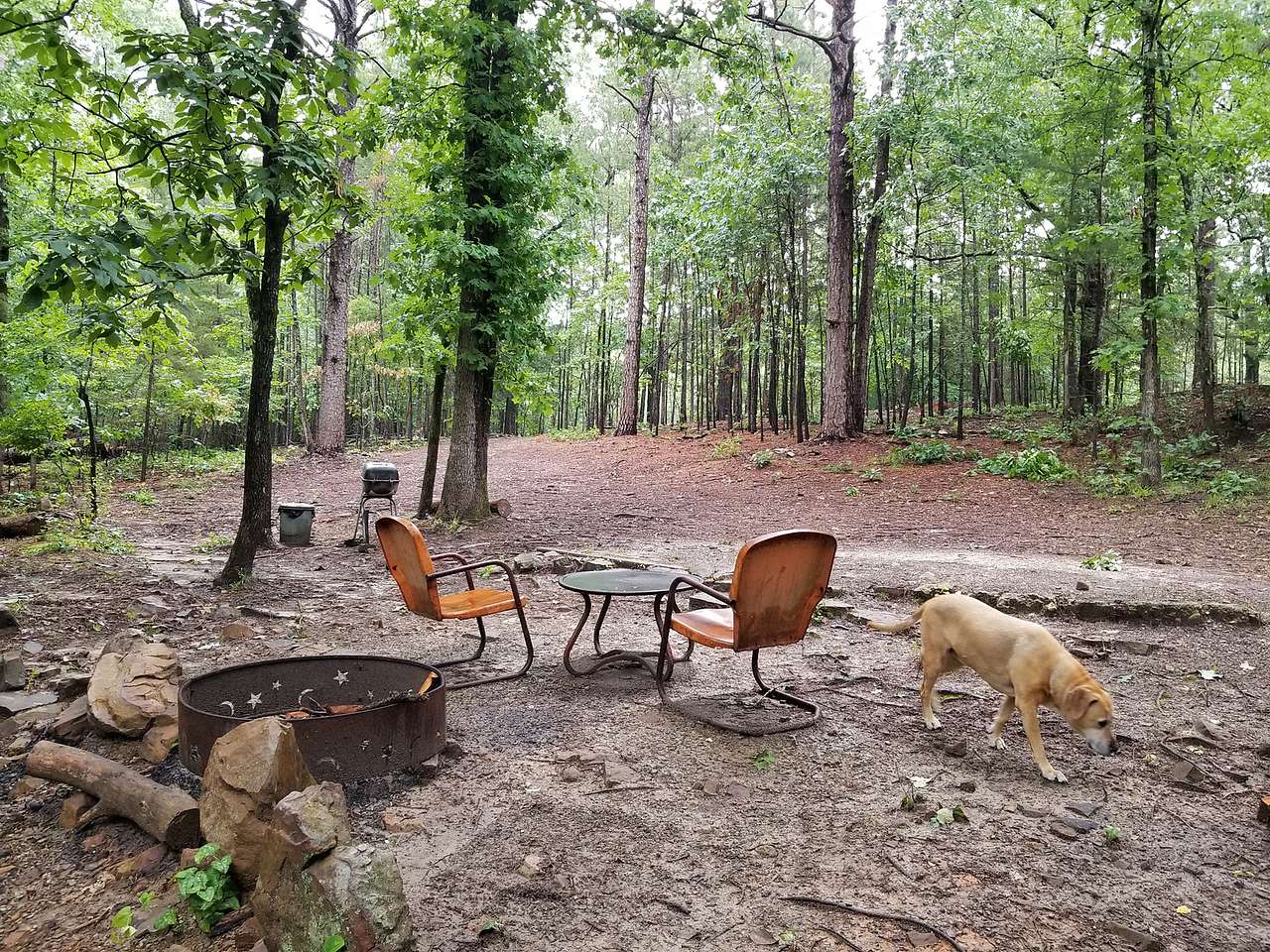 Picture of the site