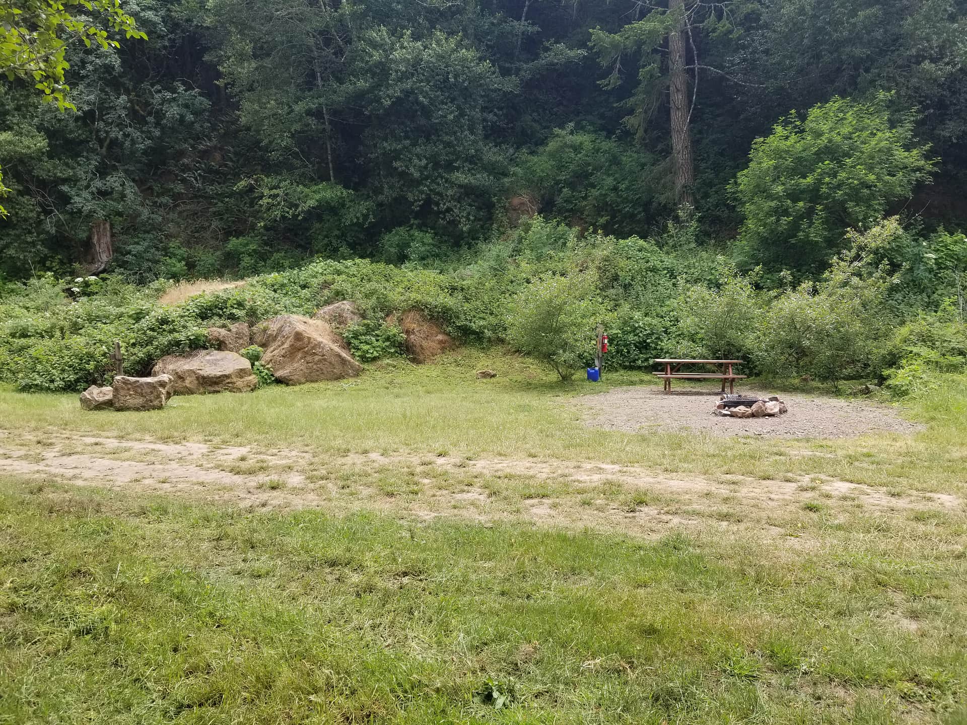 Picture of the site