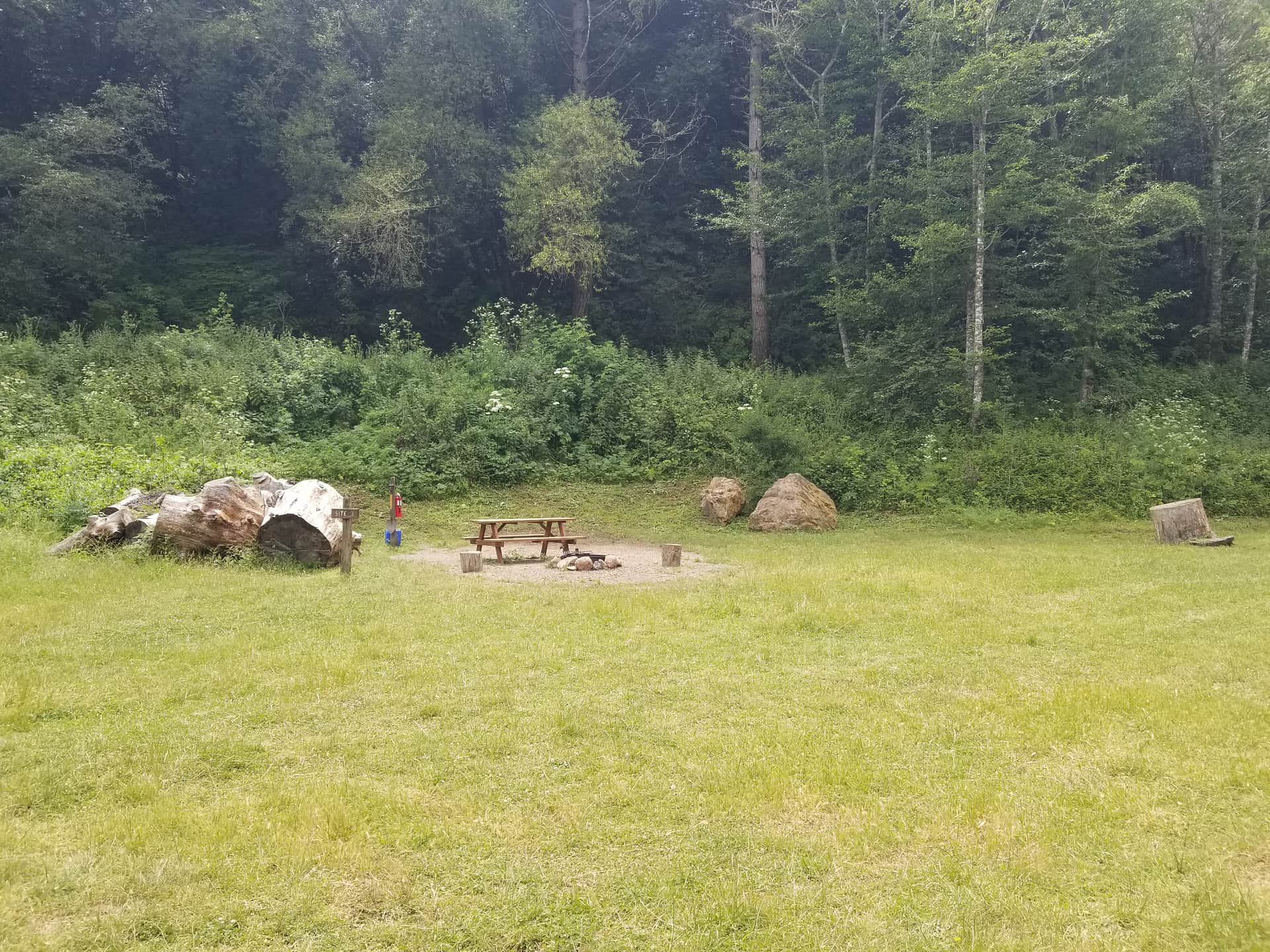 Picture of the site
