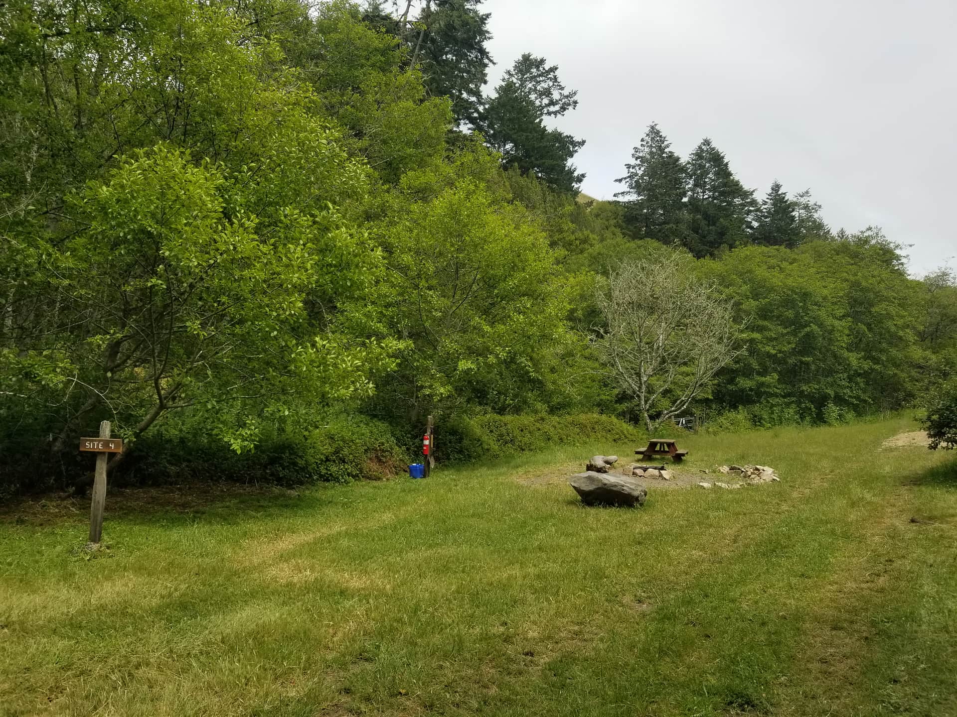 Picture of the site