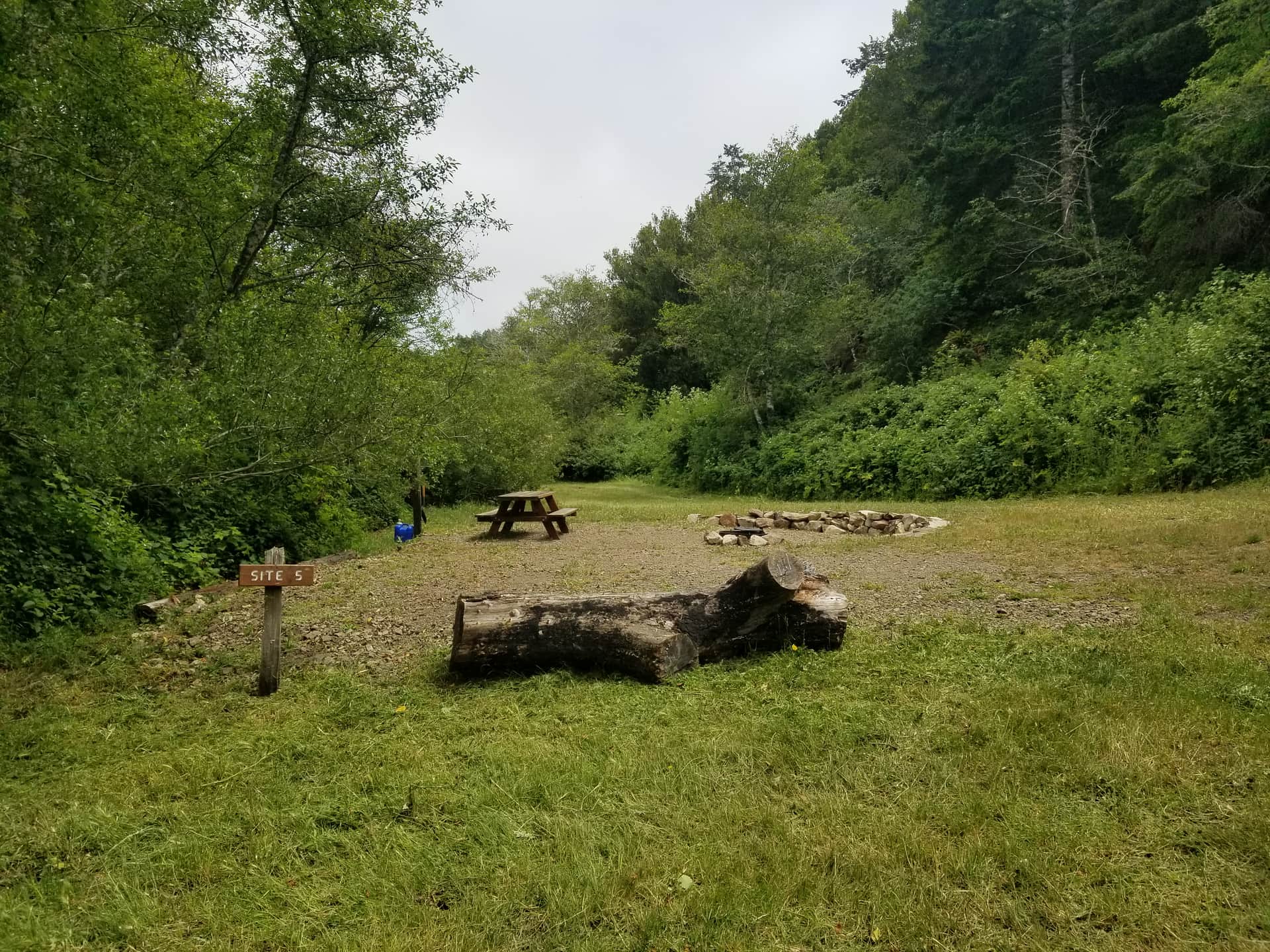Picture of the site