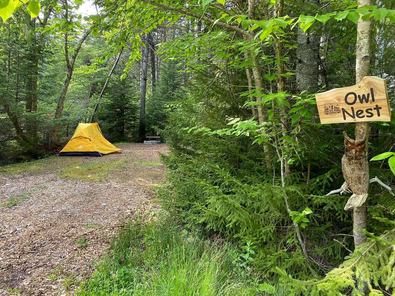 Picture of the site
