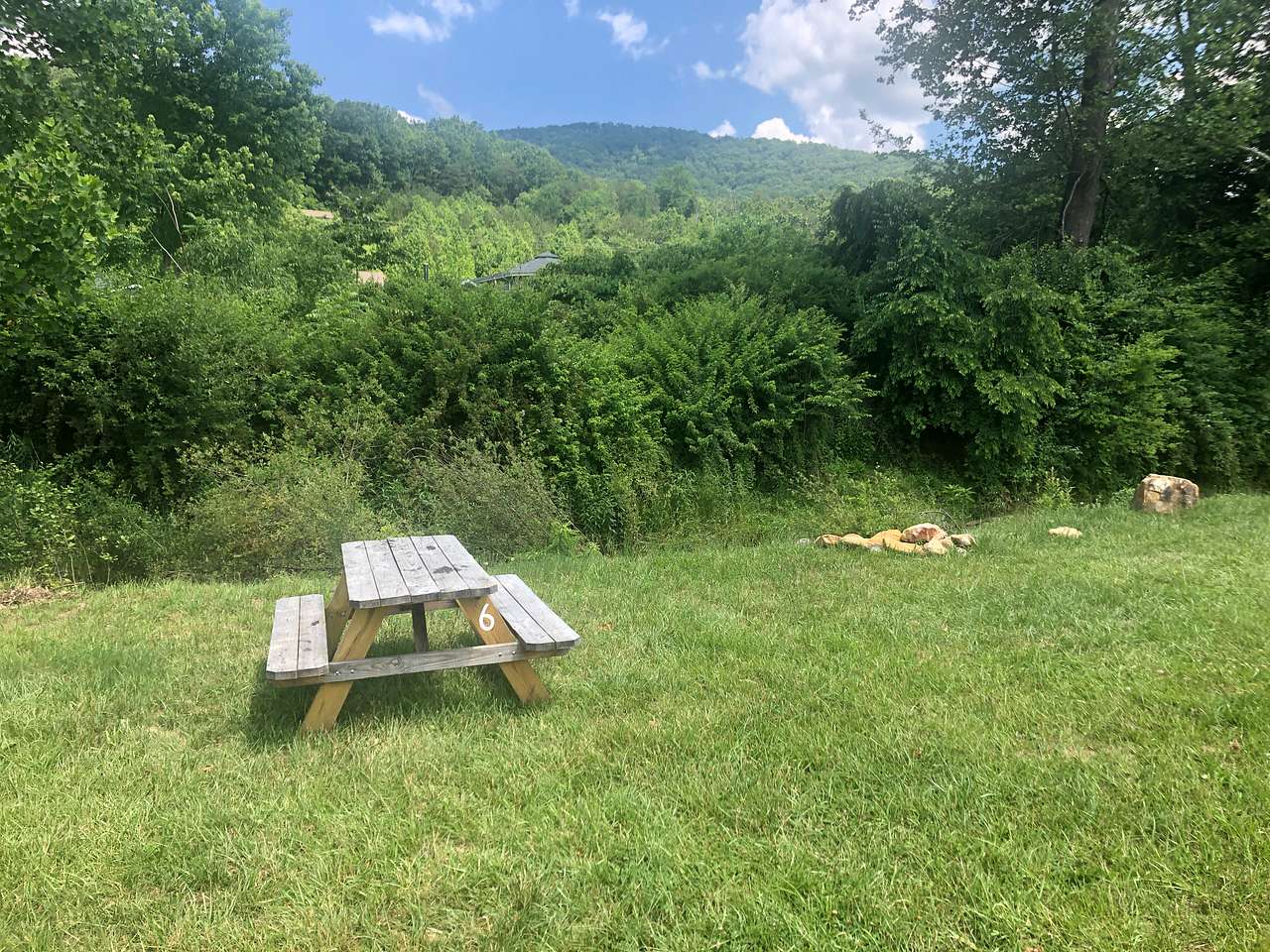 Picture of the site