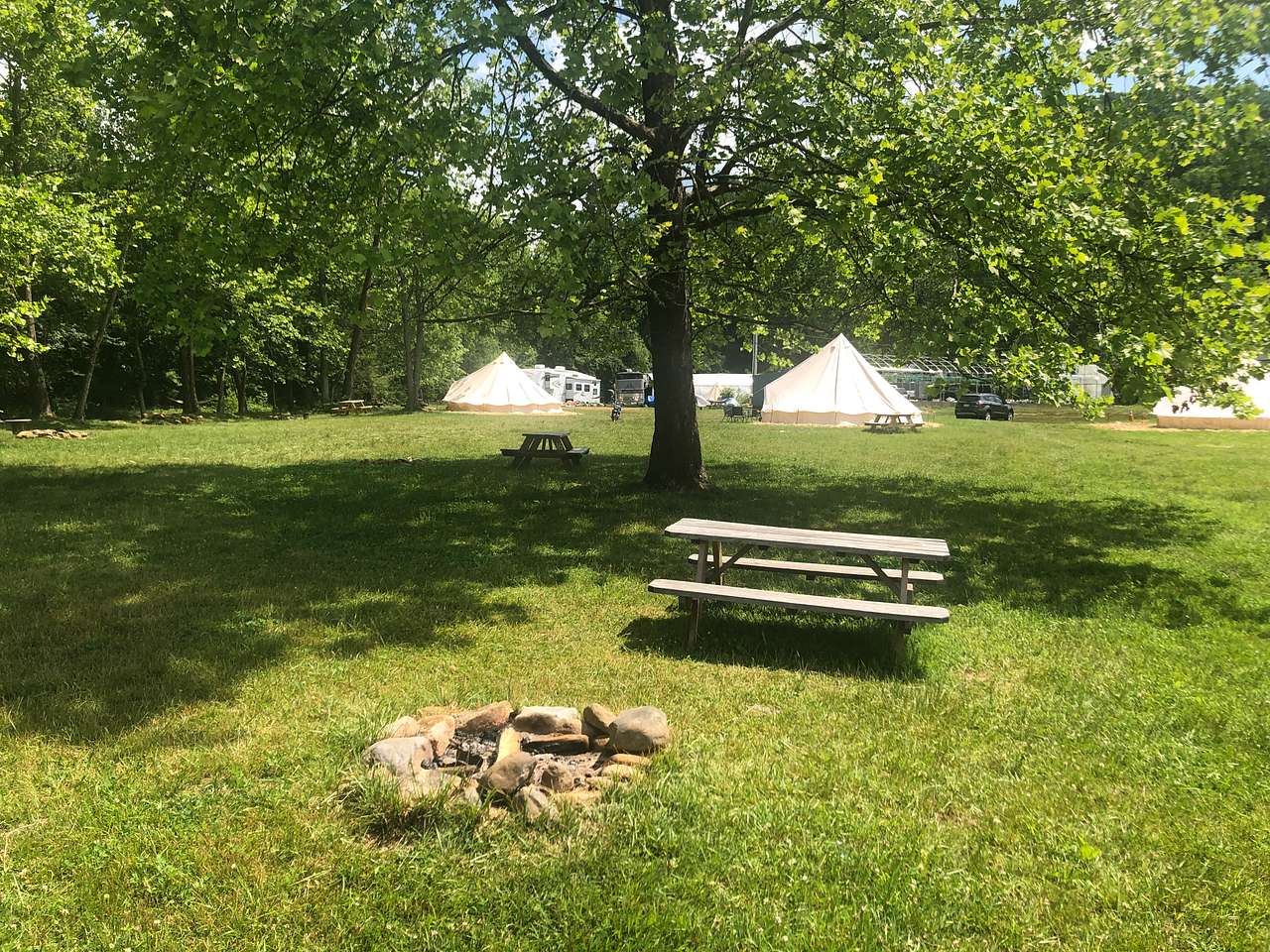 Picture of the site