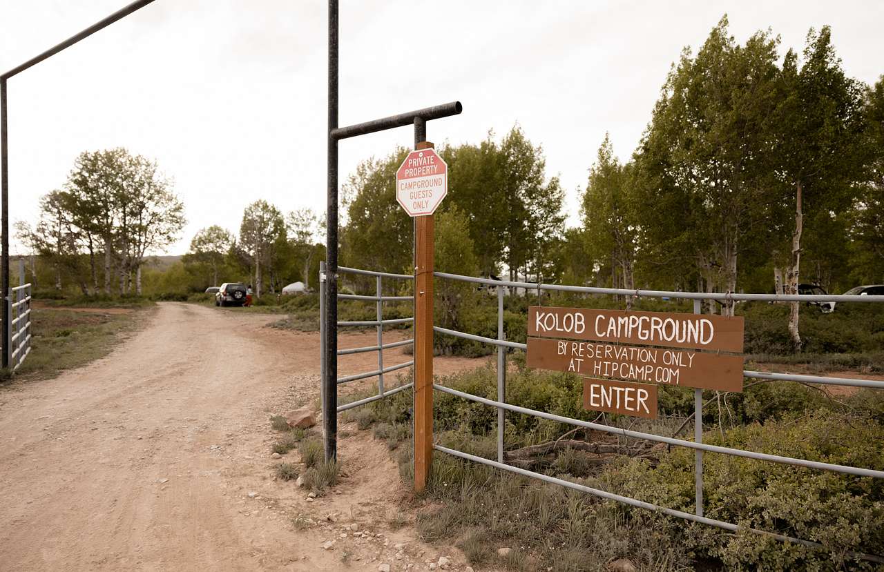 Picture of the site