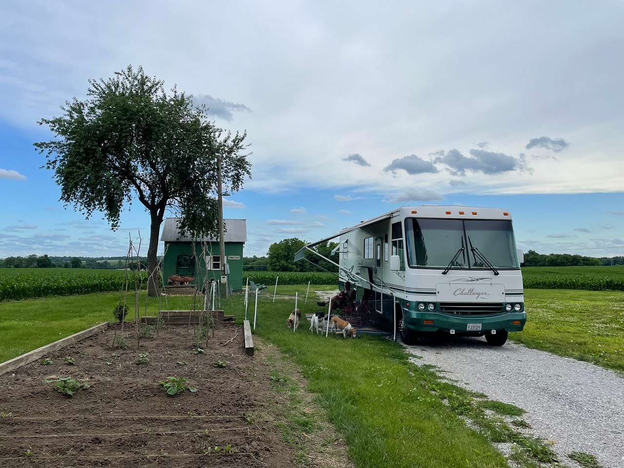 Picture of the site