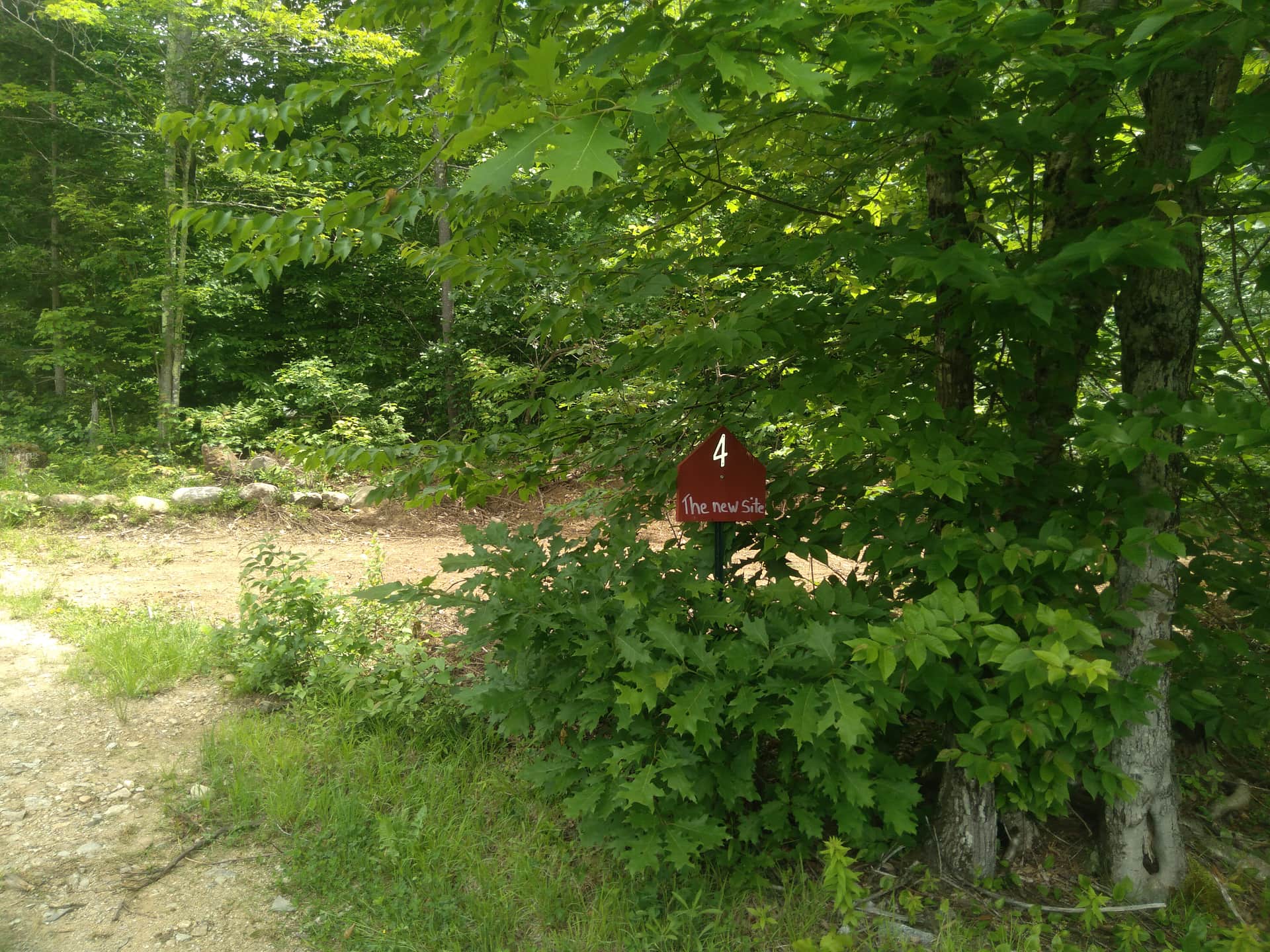Picture of the site