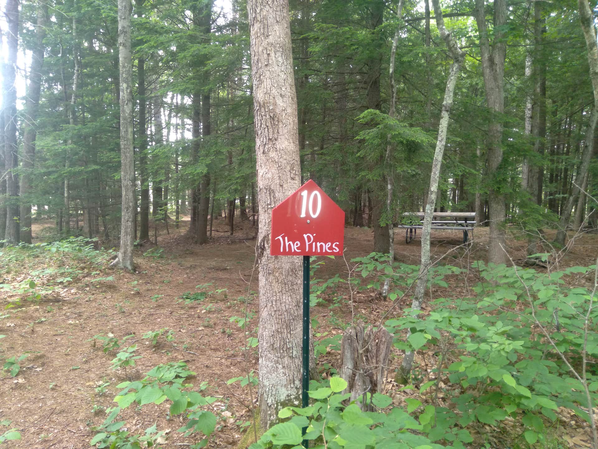 Picture of the site