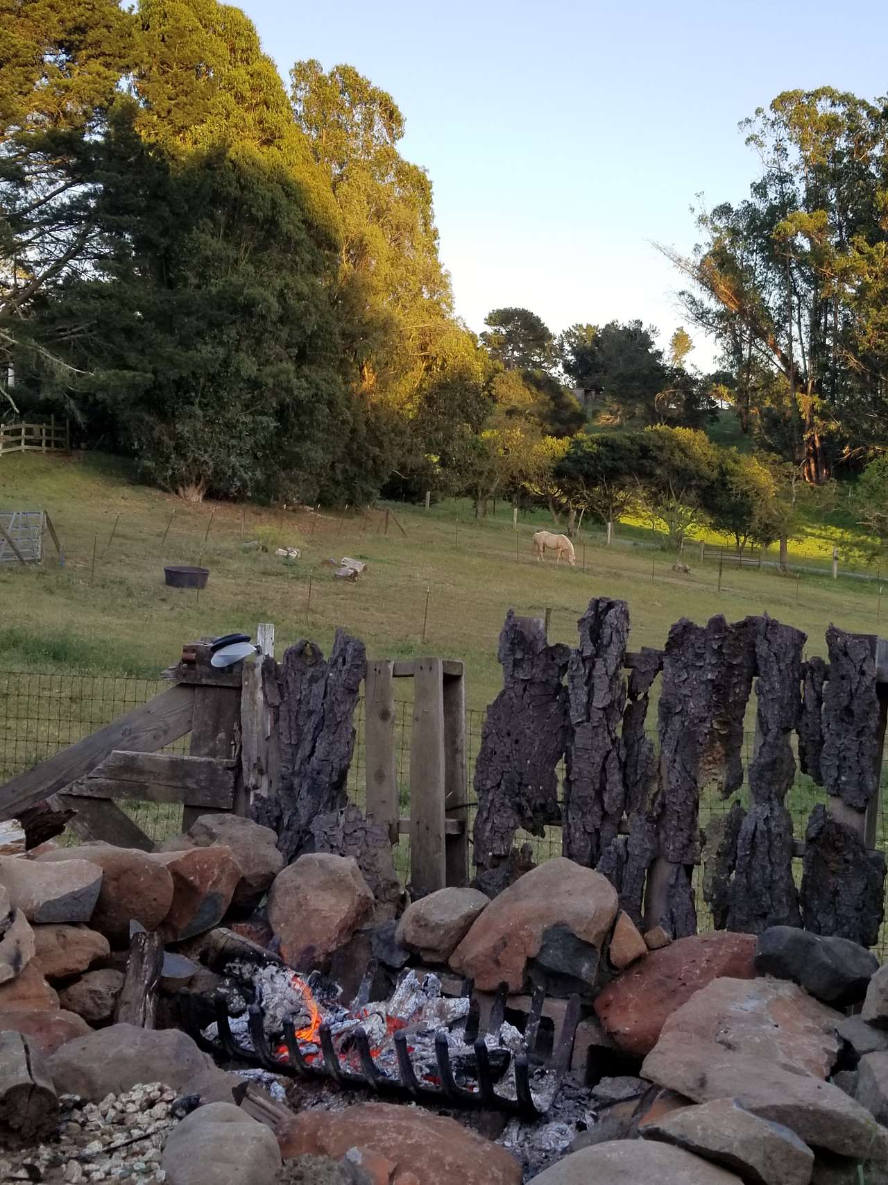 Picture of the site