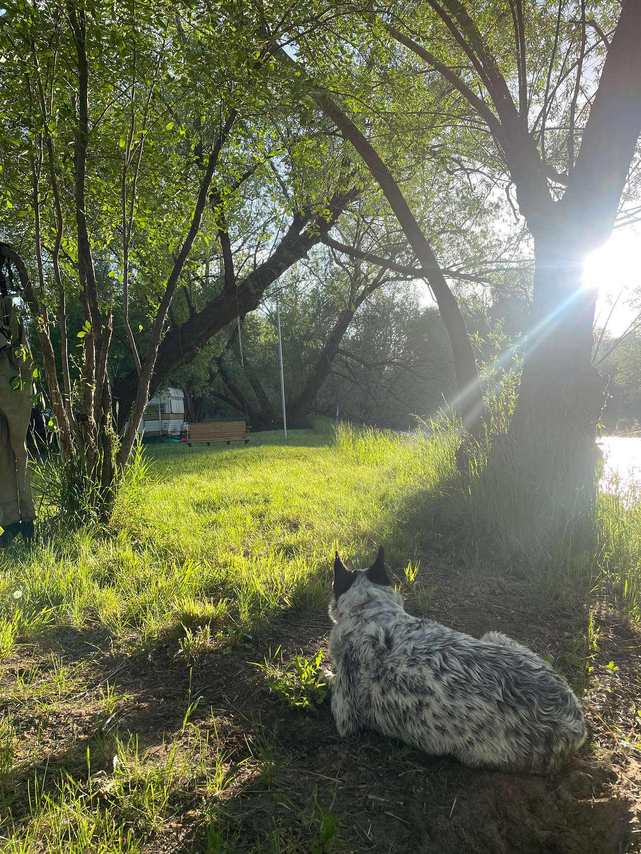 View pets photos of RIVER BEND CAMP GROUND