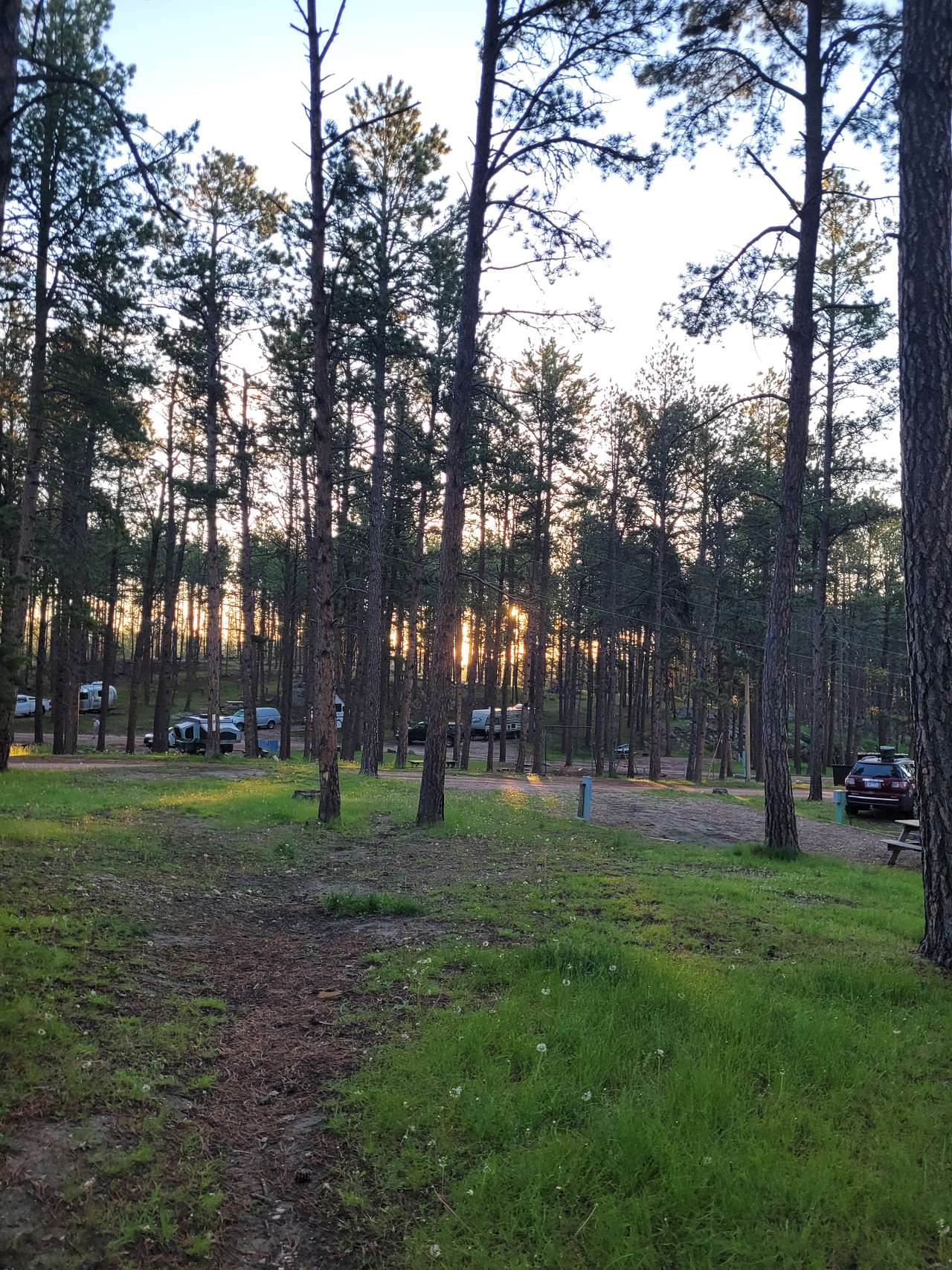Picture of the site
