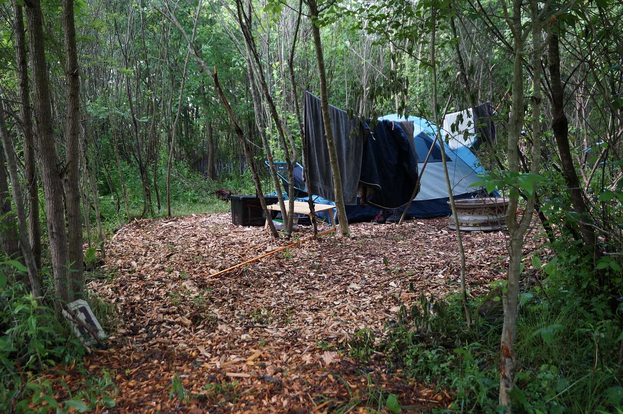 Picture of the site