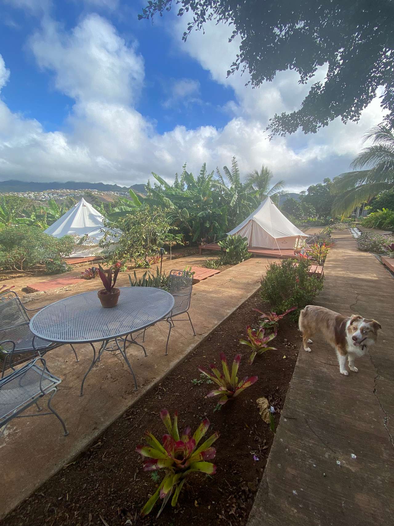 Picture of the site