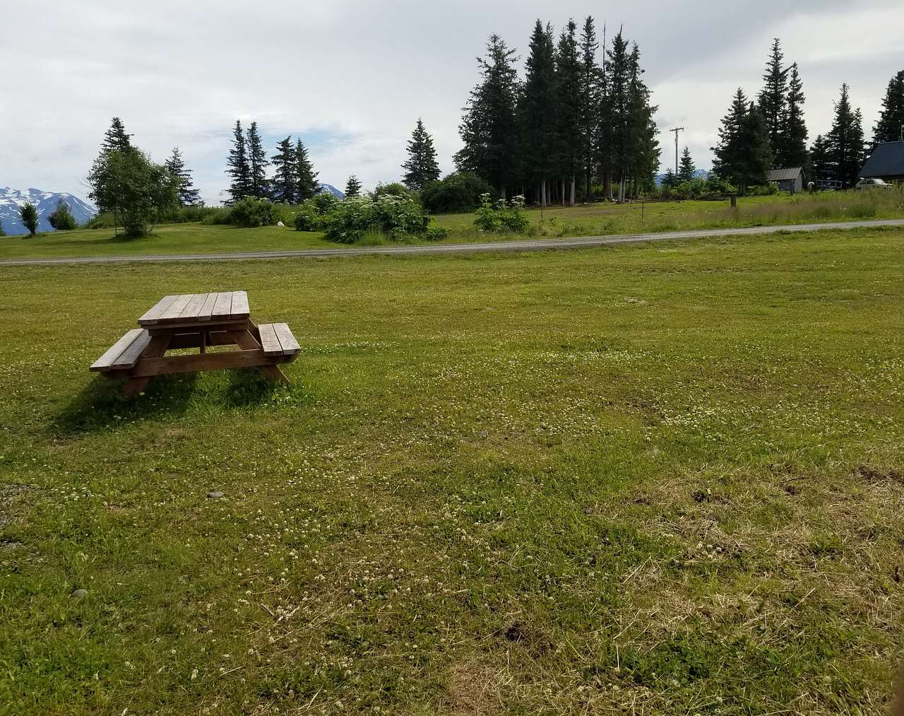Picture of the site