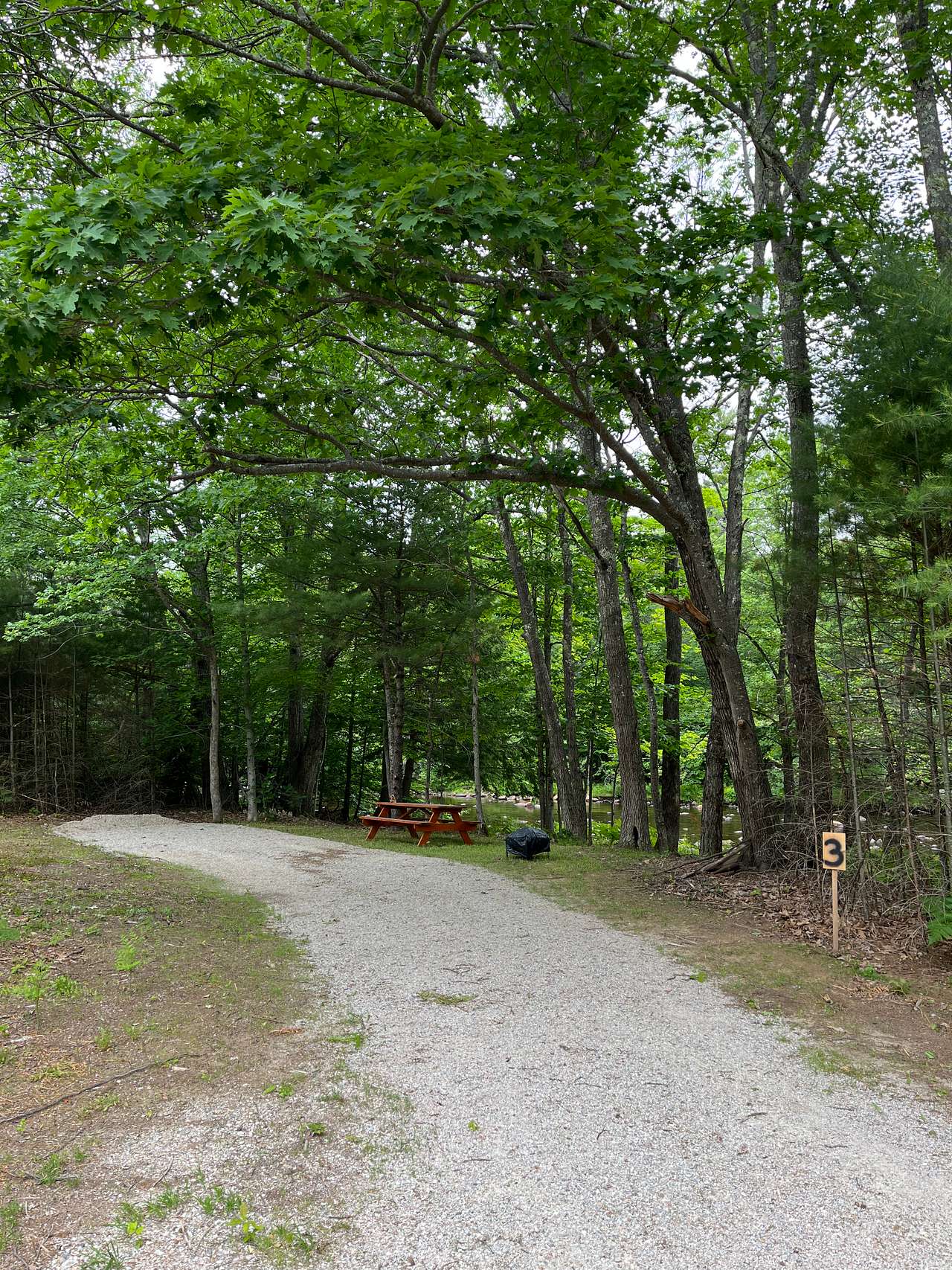Picture of the site
