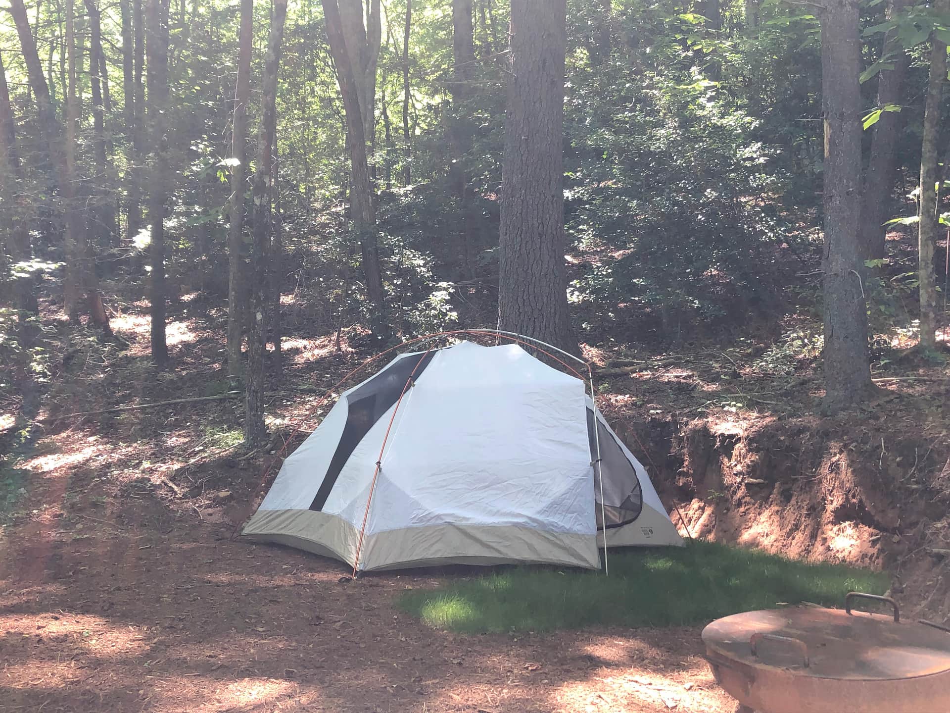 Picture of the site