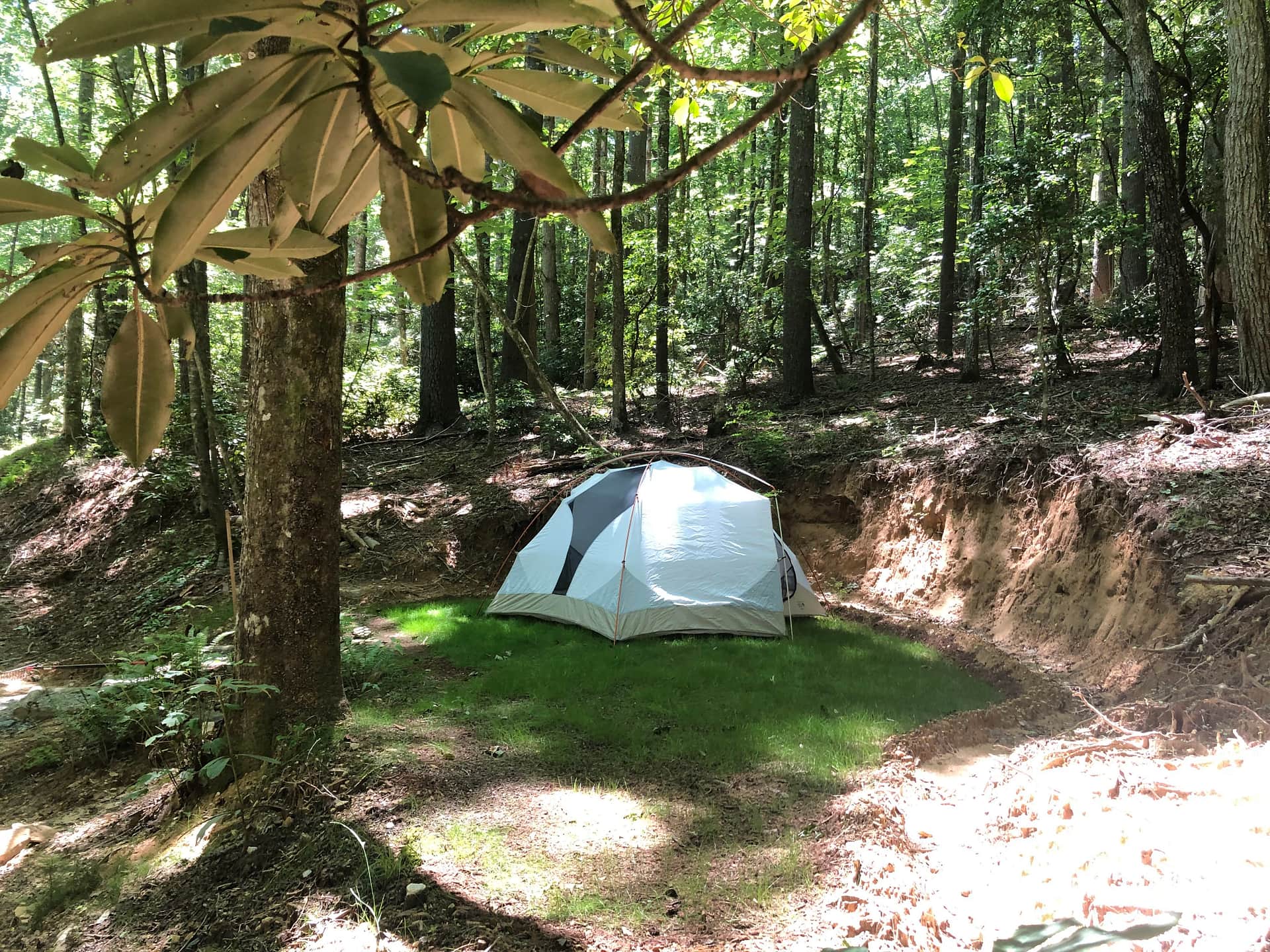 Picture of the site