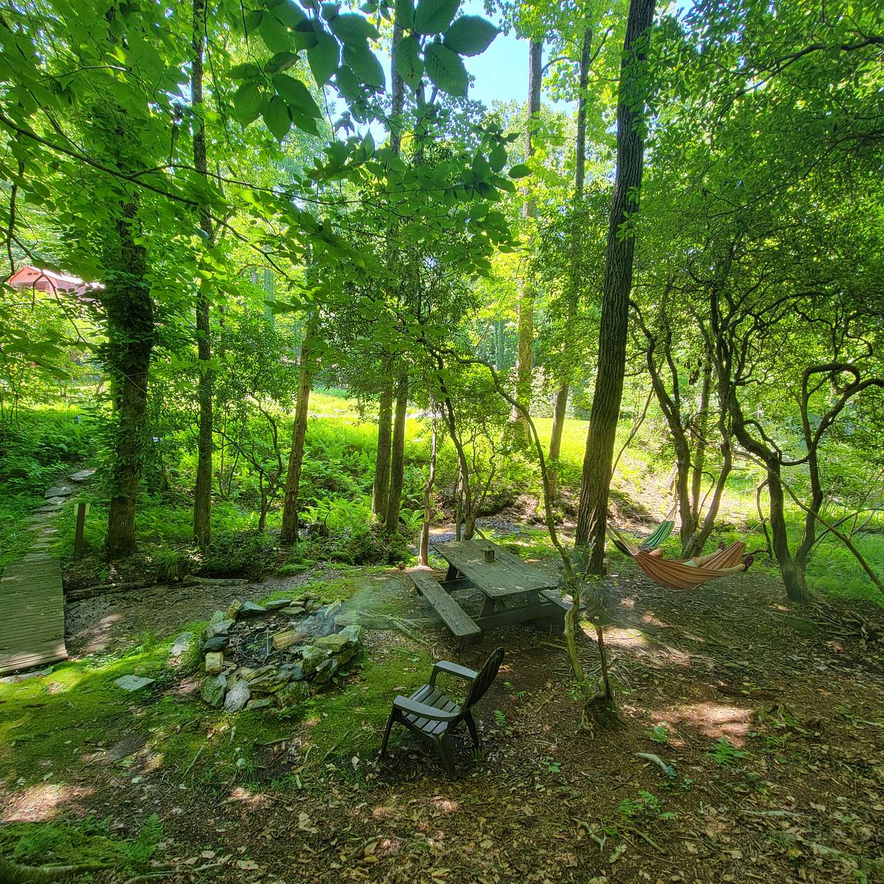 Picture of the site