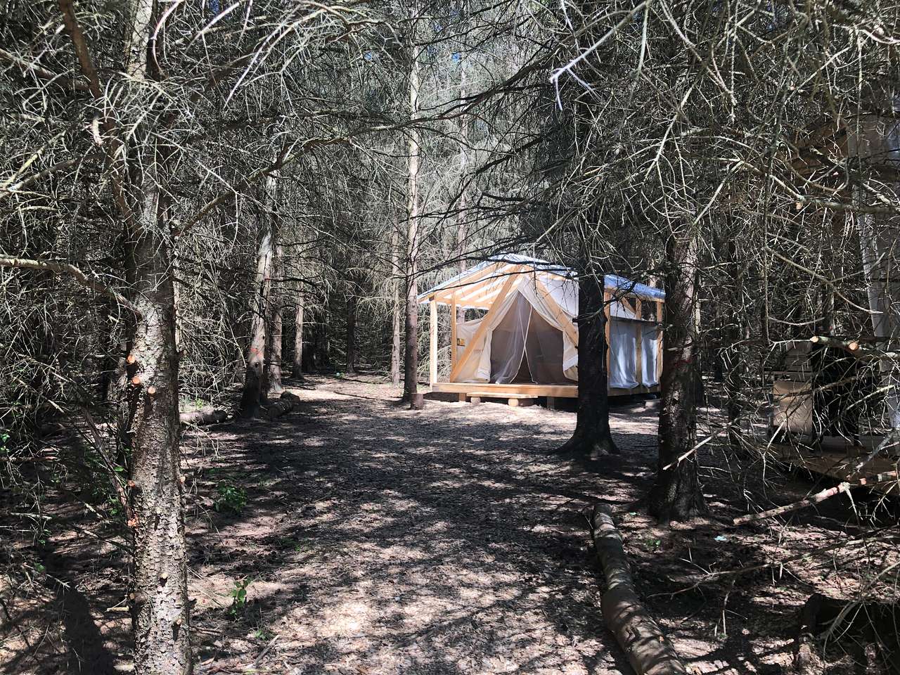Picture of the site
