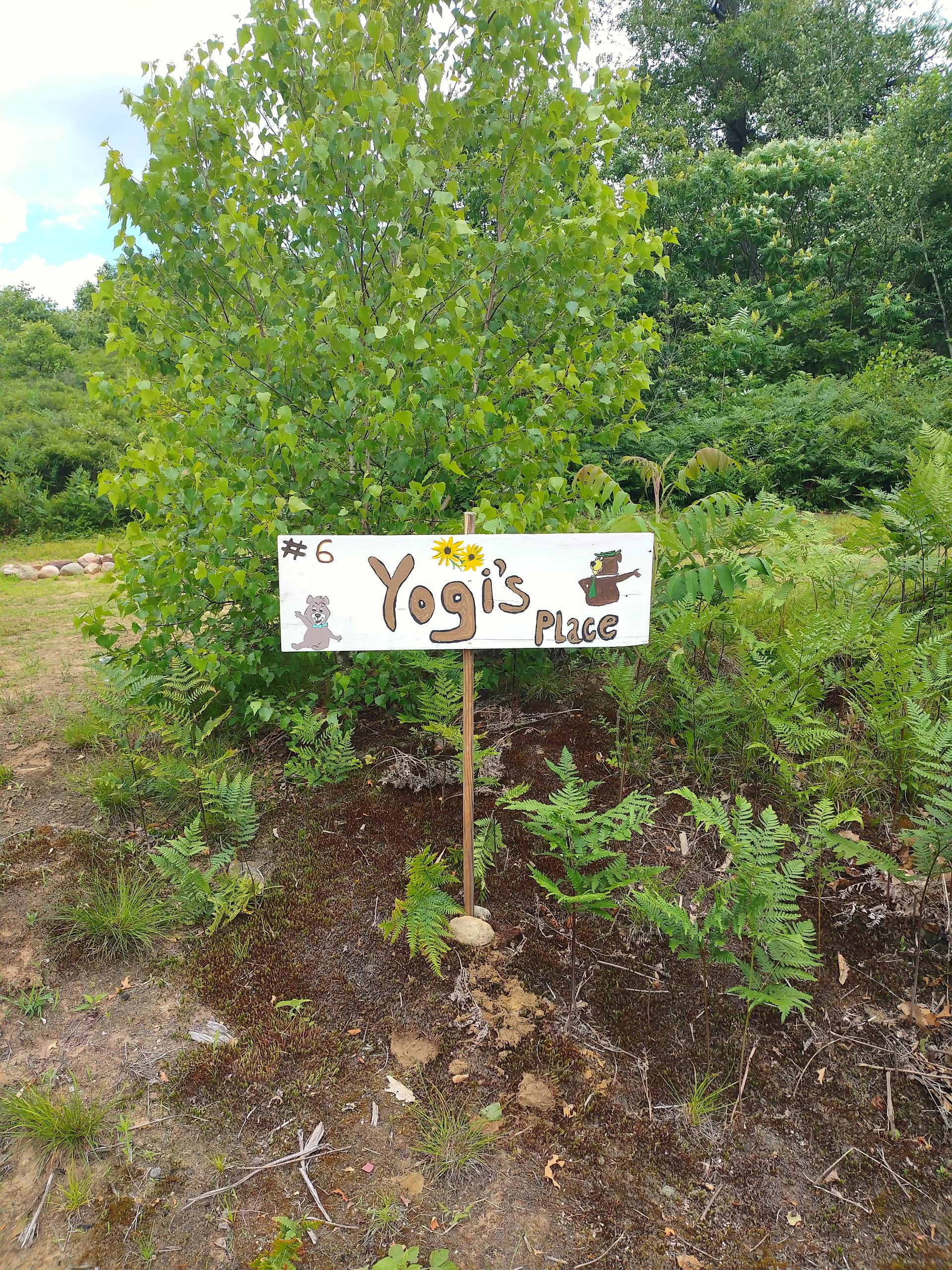 Picture of the site