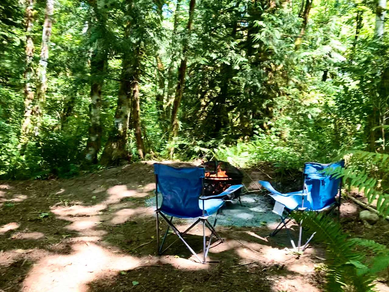 Picture of the site