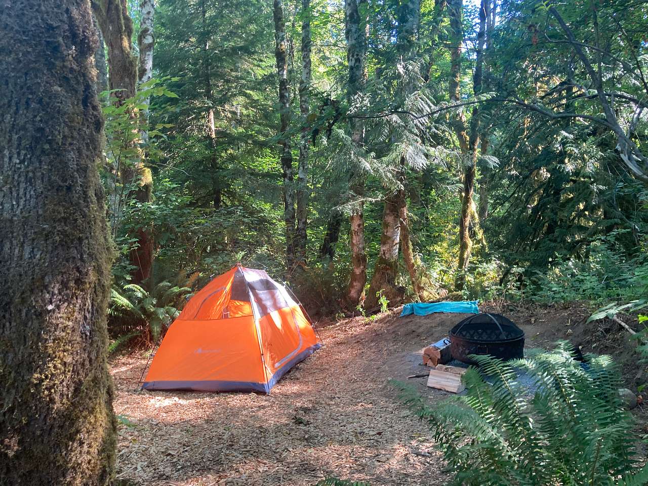Picture of the site