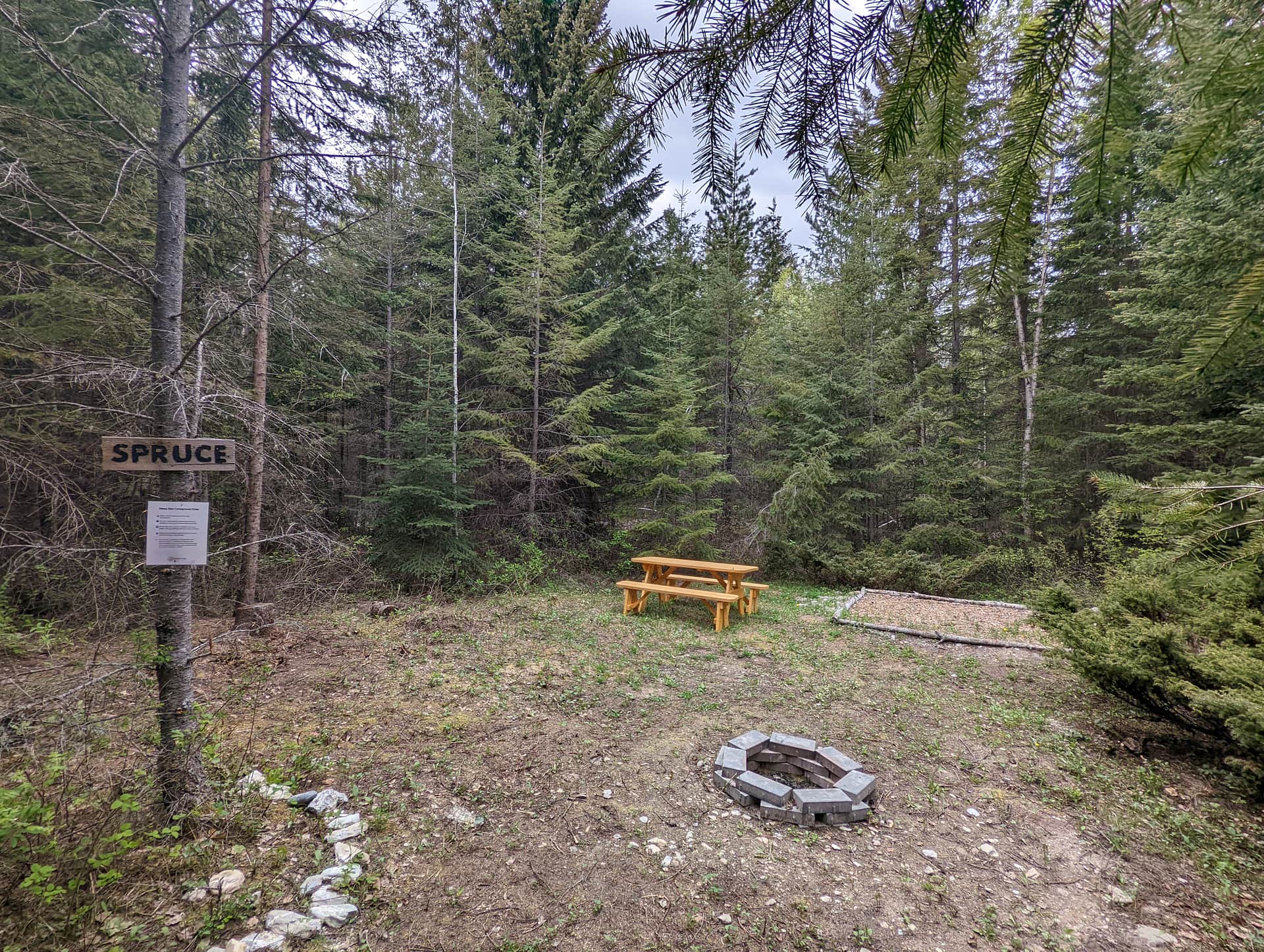 Picture of the site