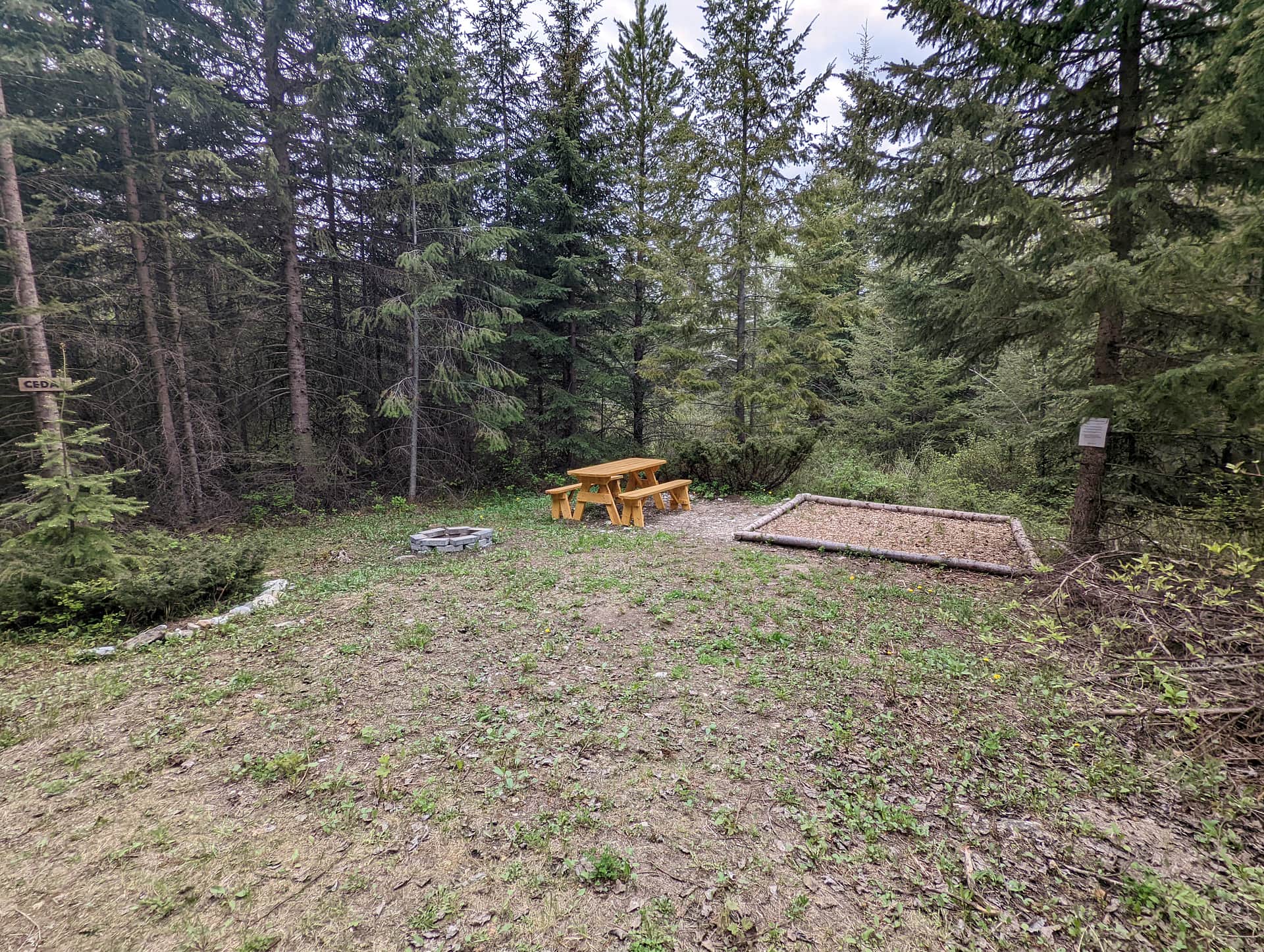 Picture of the site
