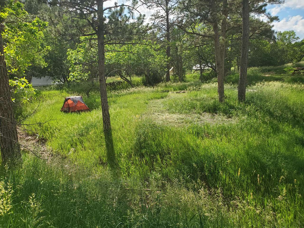 Picture of the site