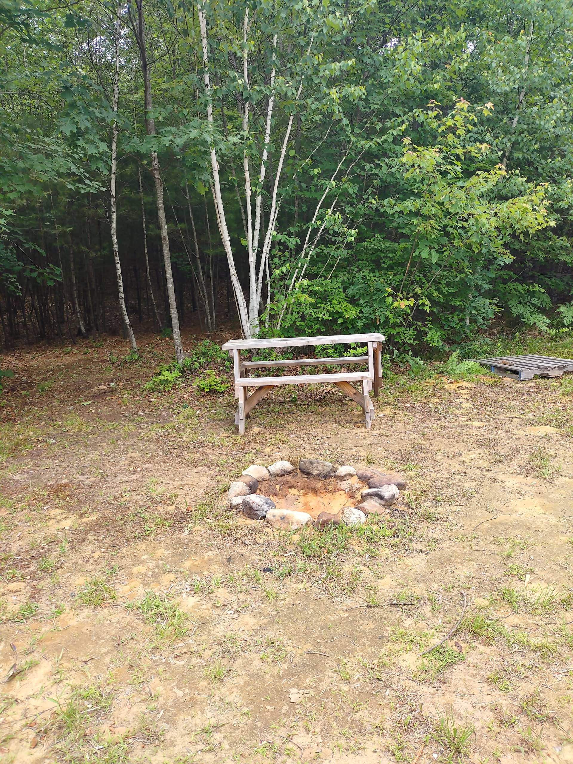 Picture of the site