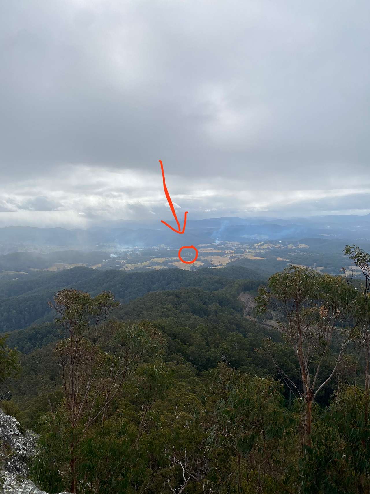 Picture of the site