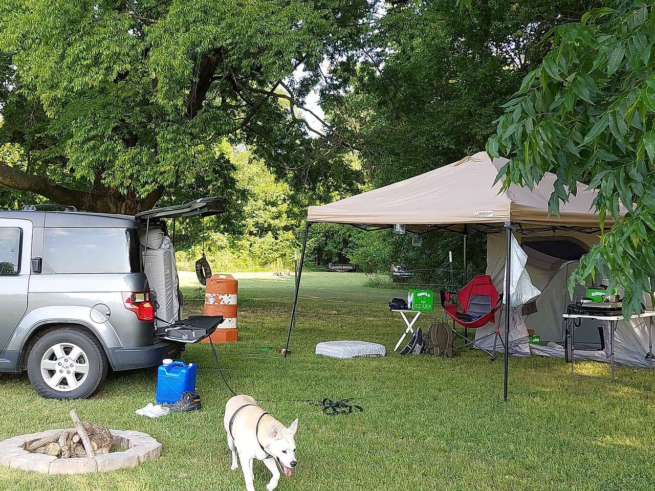 Picture of the site