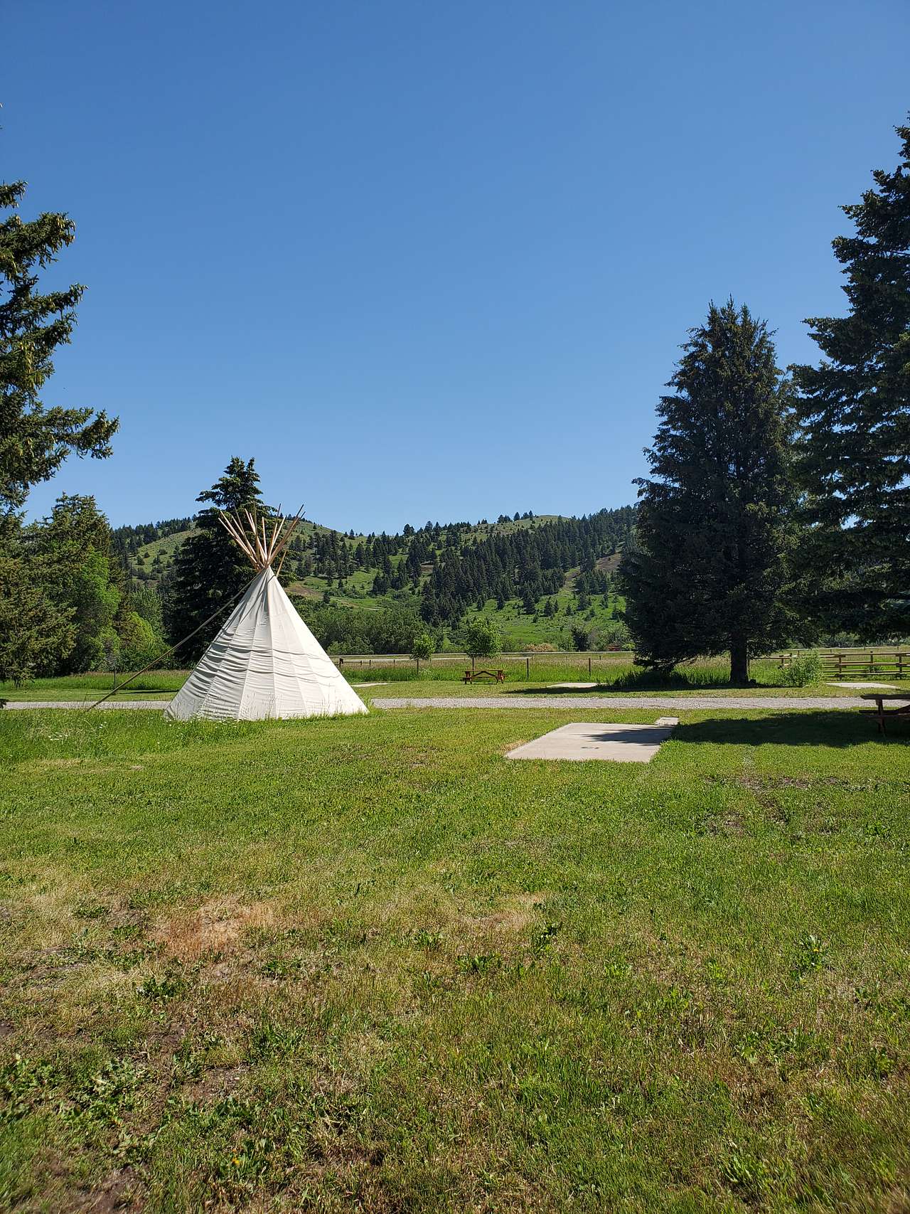 Picture of the site