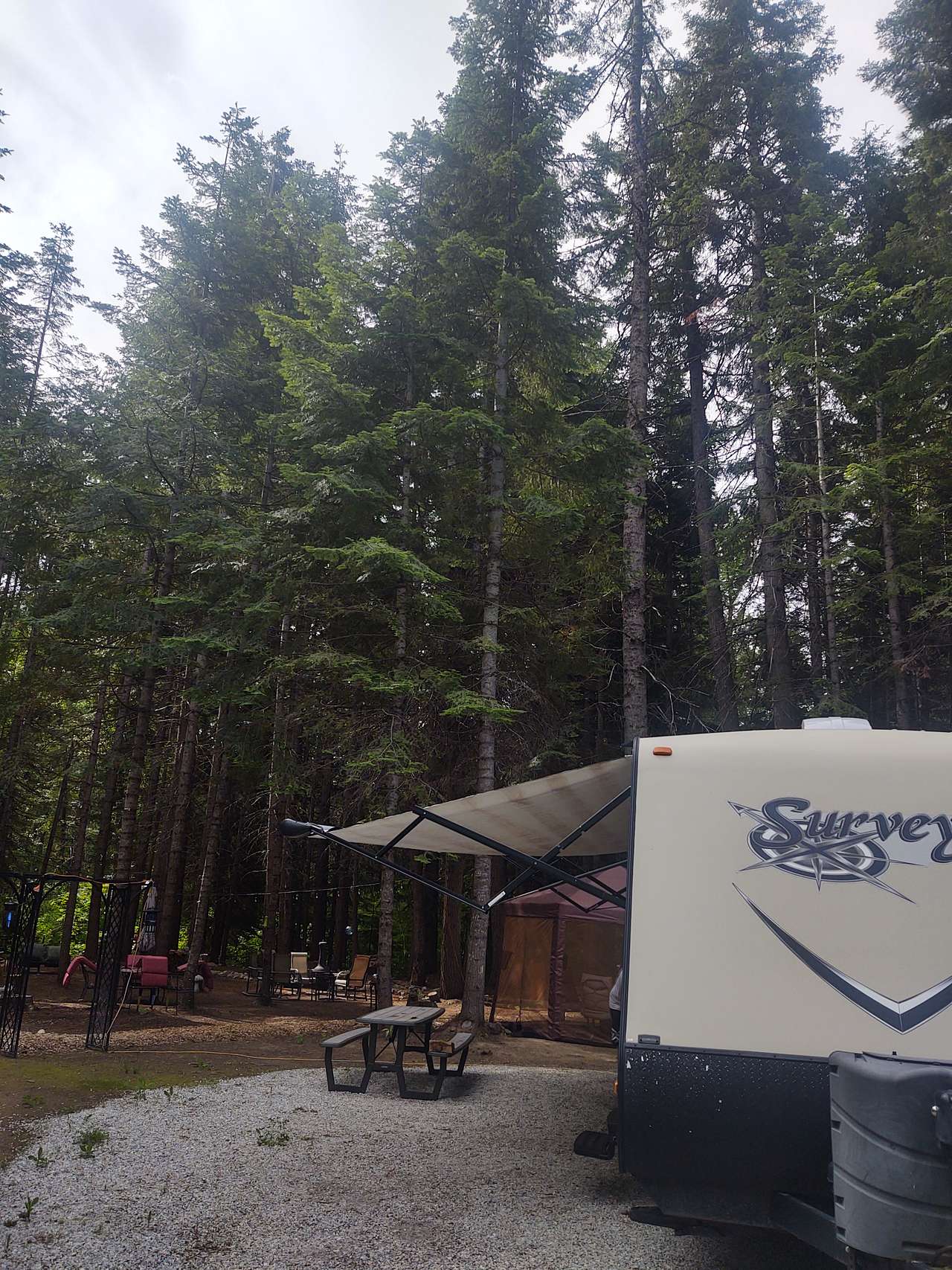 Picture of the site