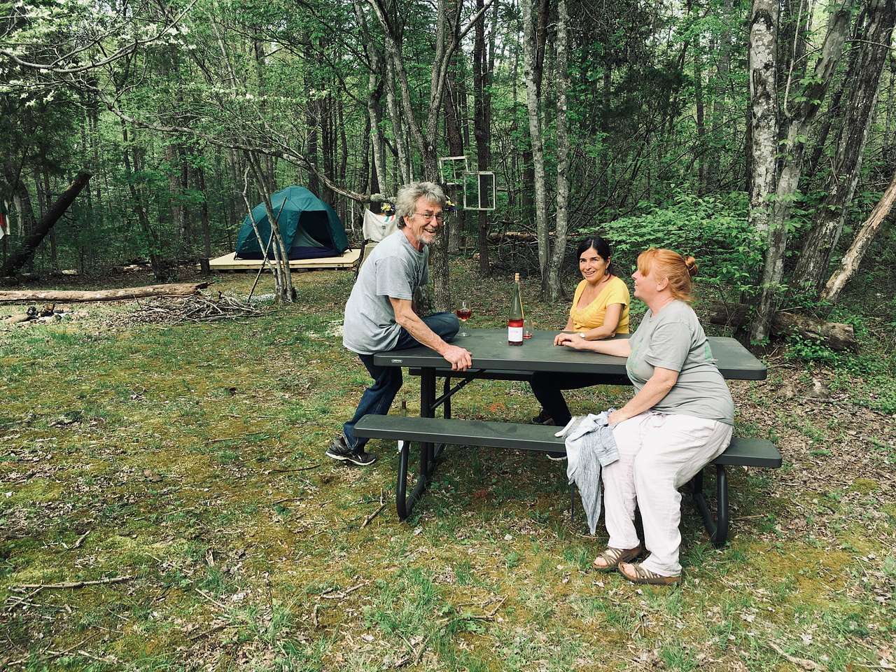 Picture of the site