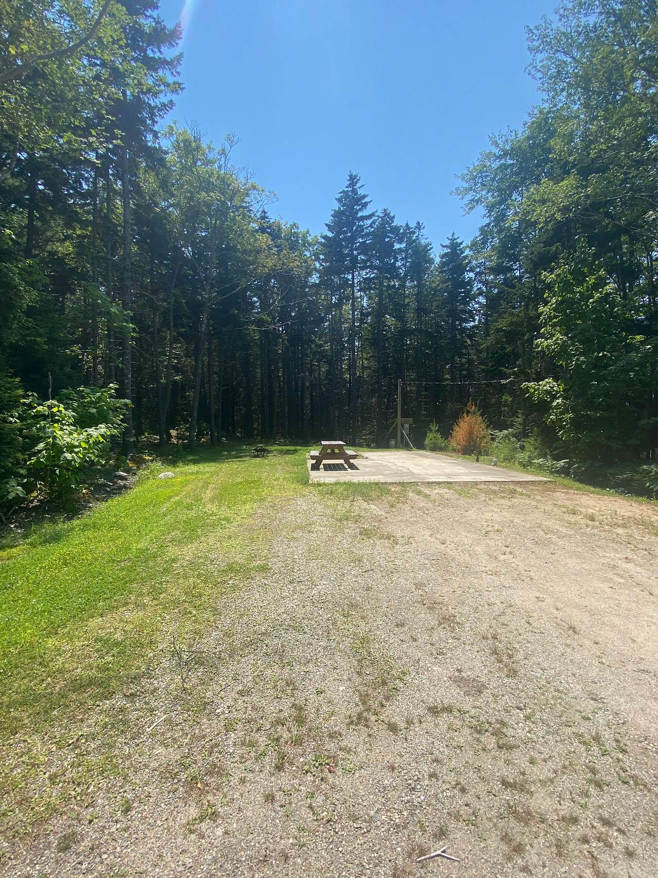 Picture of the site