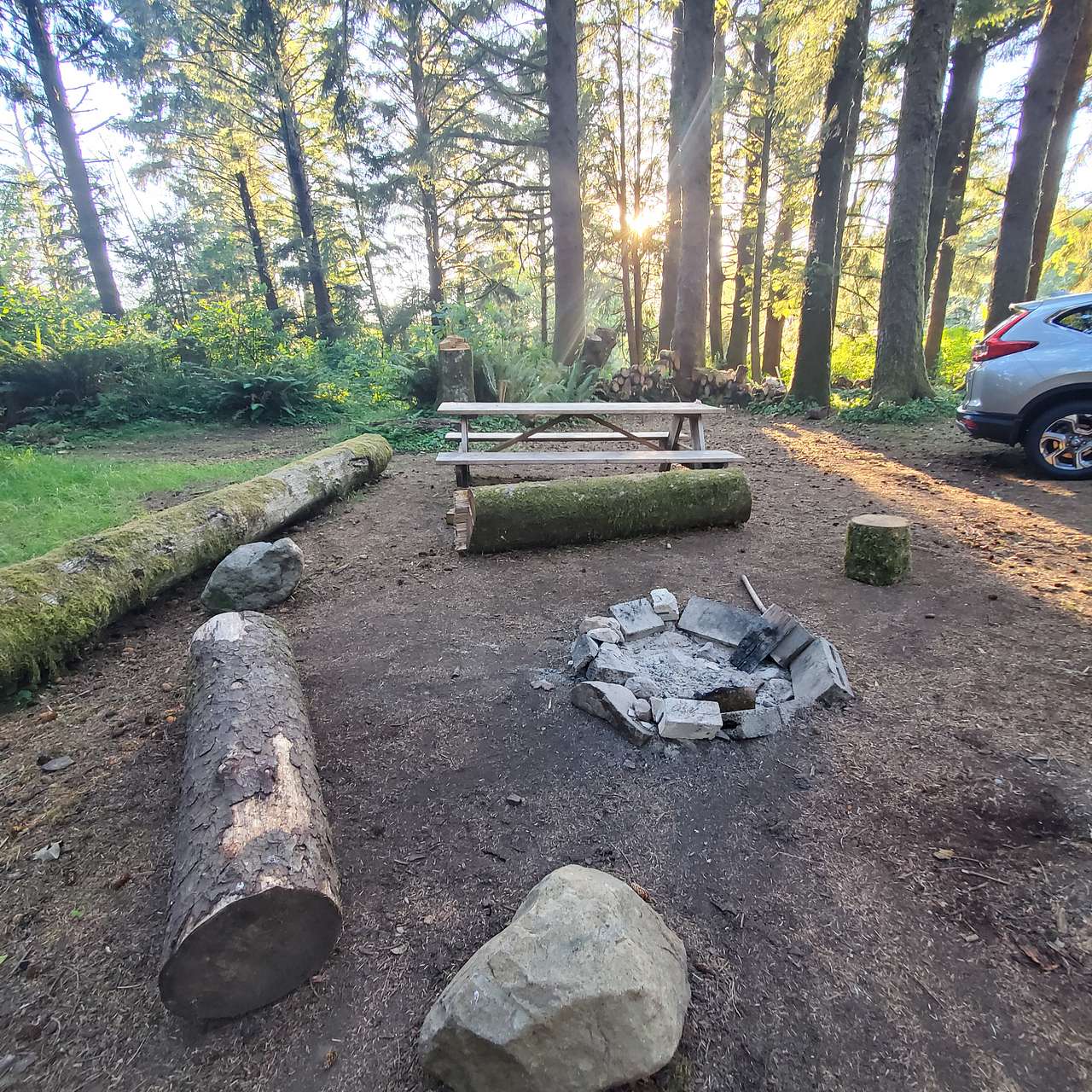 Picture of the site