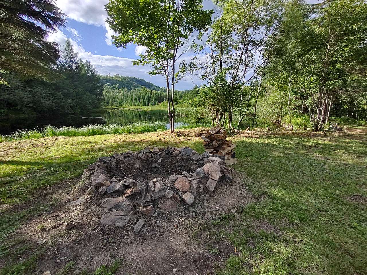 Picture of the site